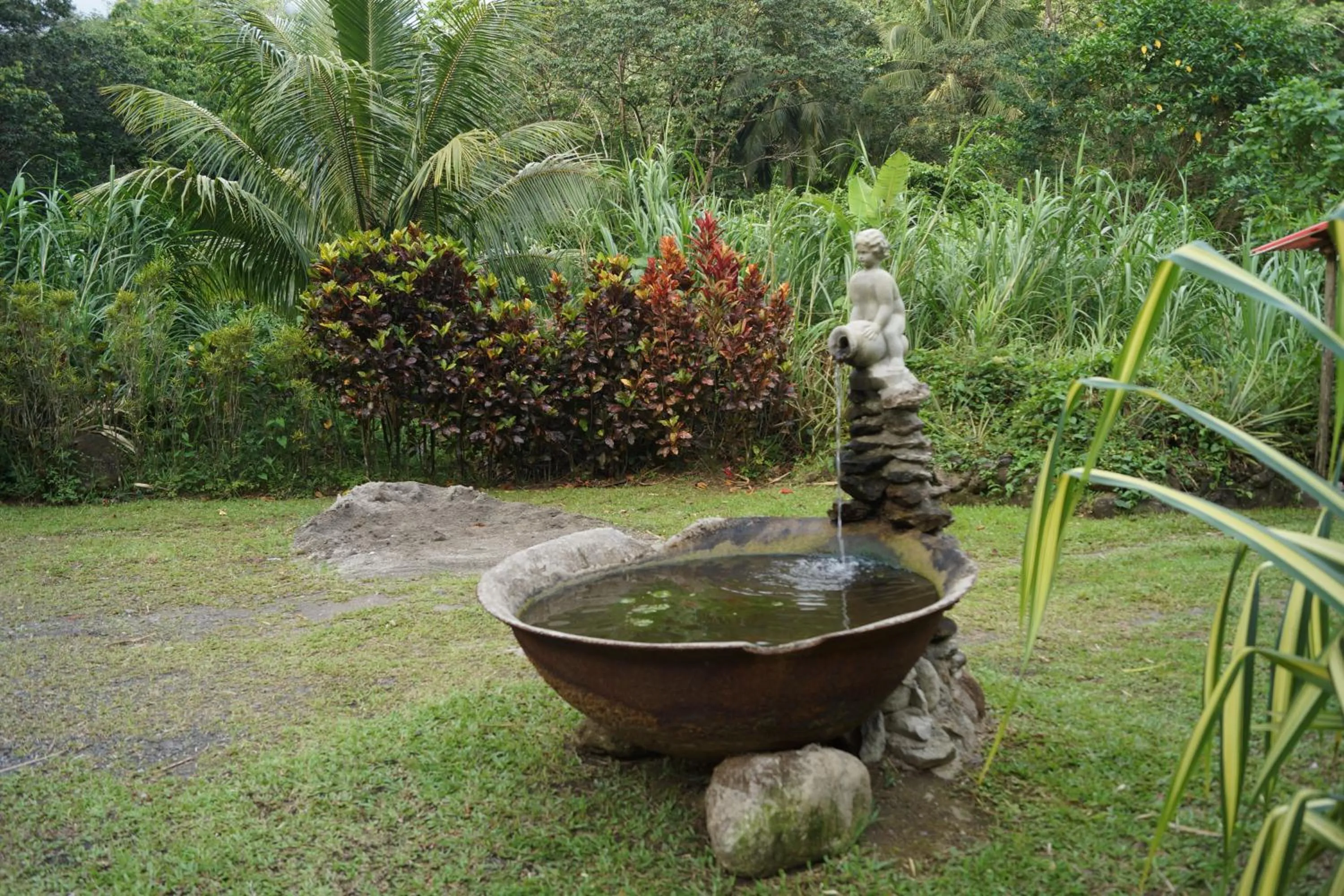 Other in Natty Tropical Valley