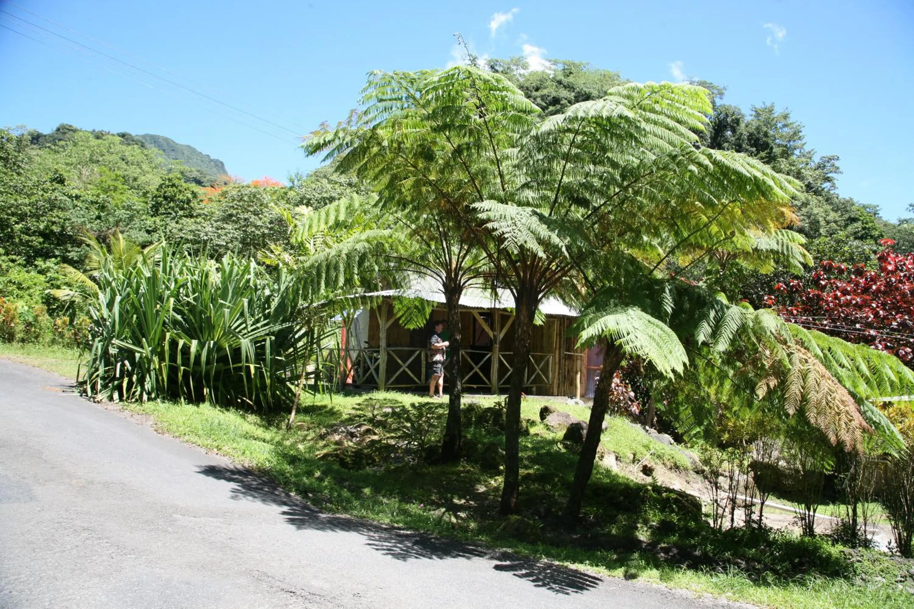 Facade/entrance in Natty Tropical Valley