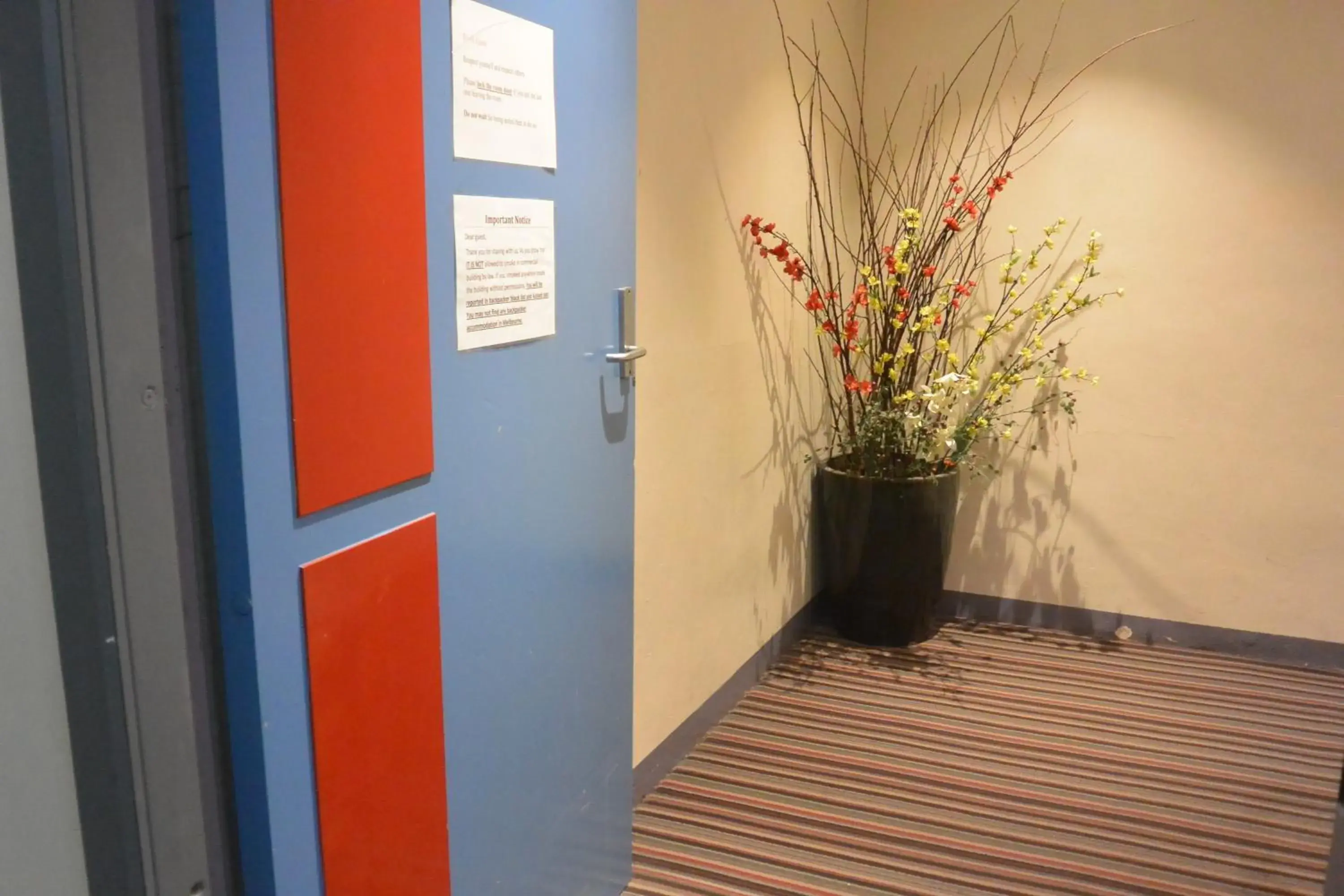 Facade/entrance in Elizabeth Hostel Facade/entrance in Elizabeth Hostel