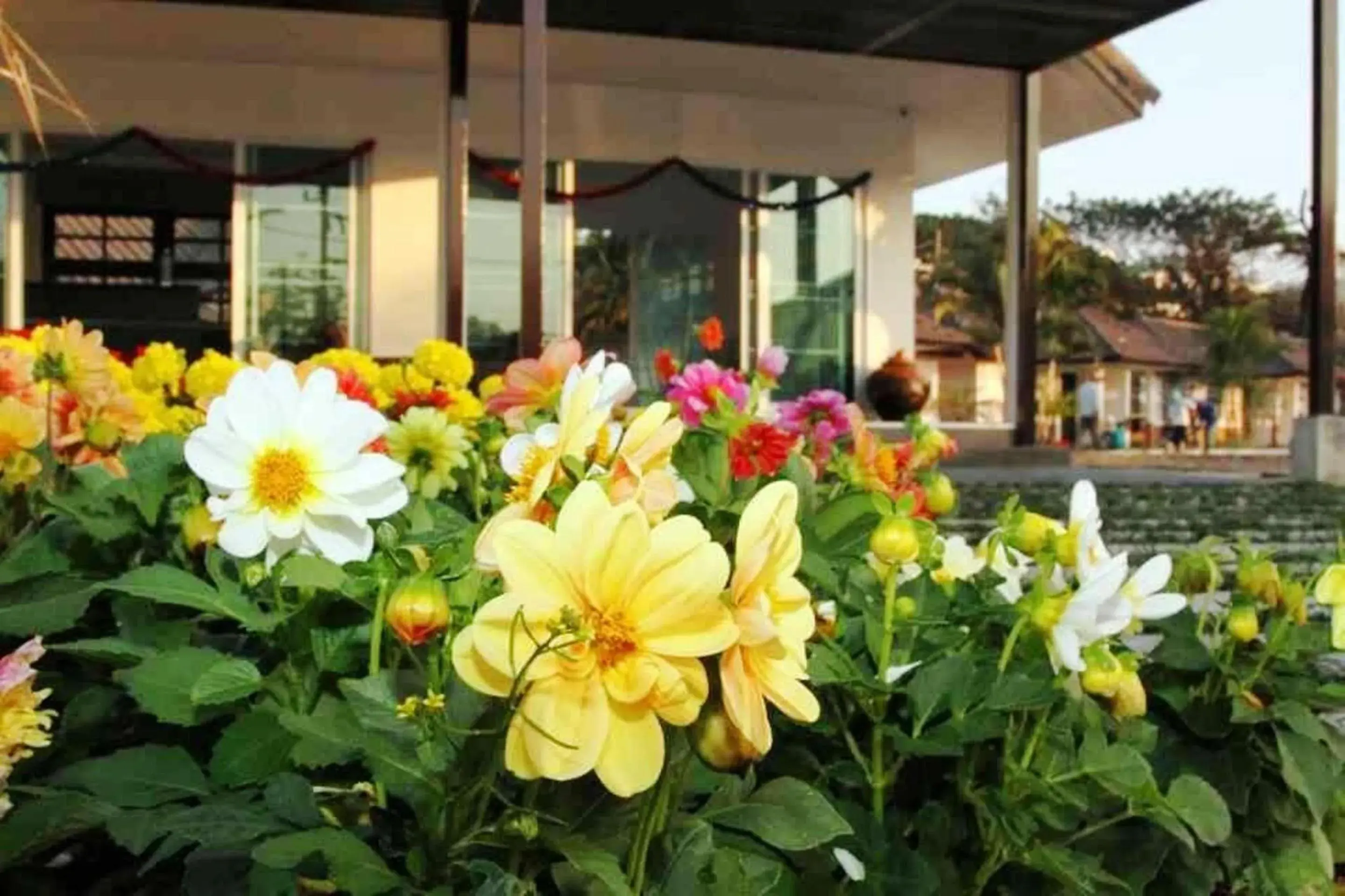 Facade/entrance in Chiangrai Green Park Resort Facade/entrance in Chiangrai Green Park Resort