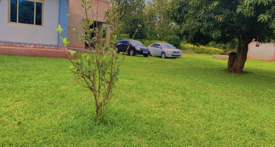 Garden view in Marina Terraces Hotel