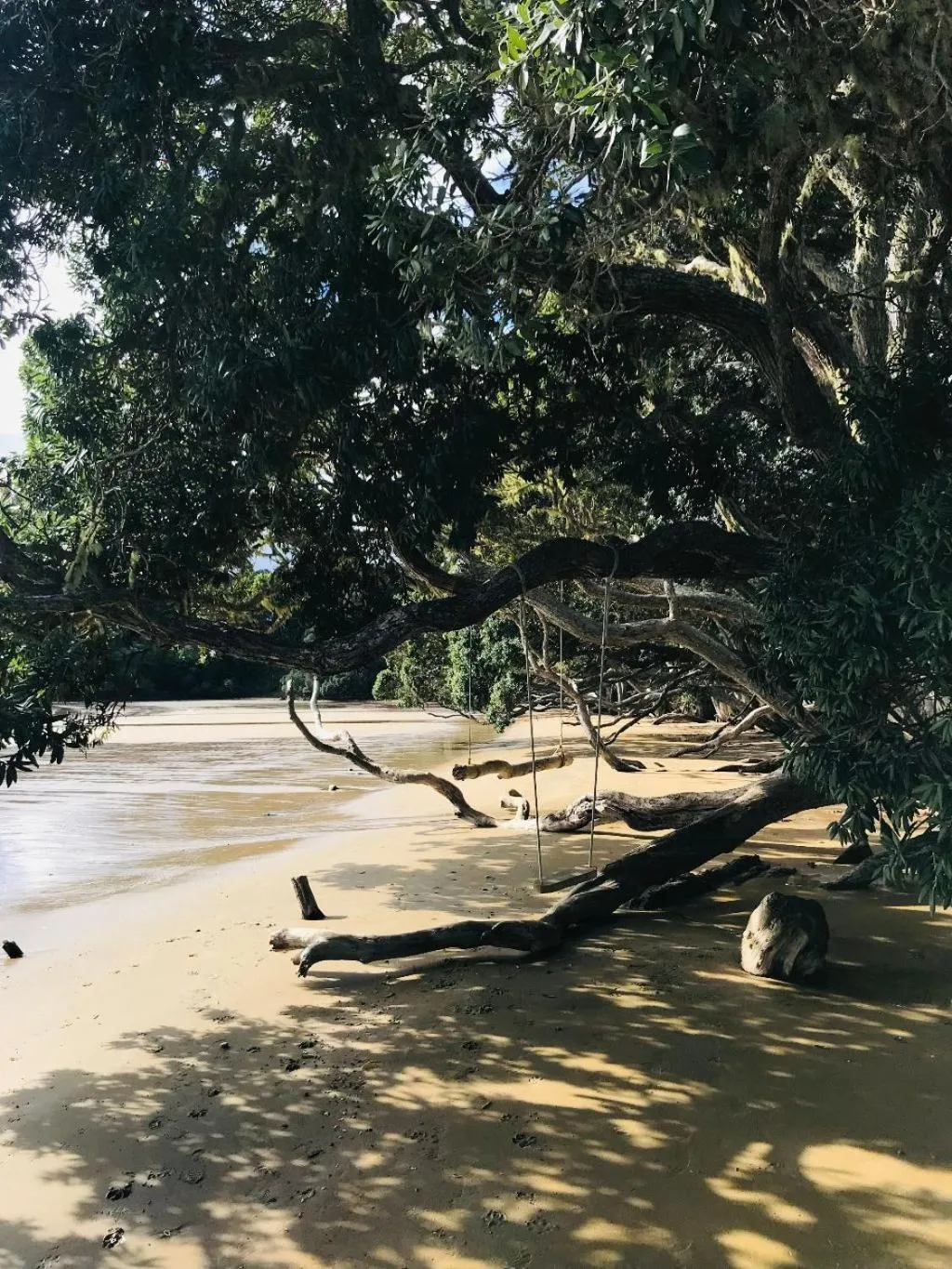 Beach in San Marino Motor Lodge Absolute Beachfront