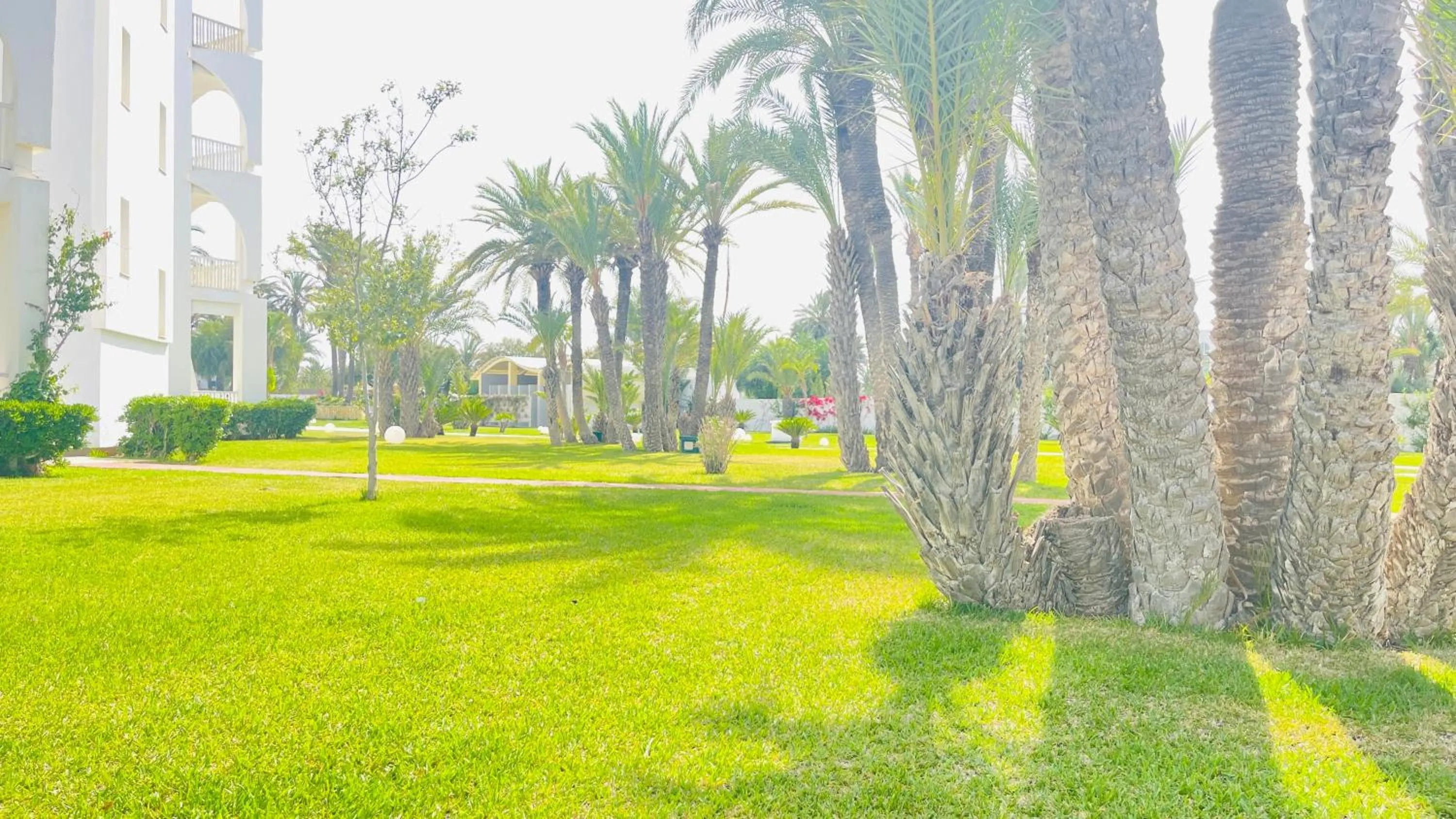 Garden in One Resort Jockey Monastir