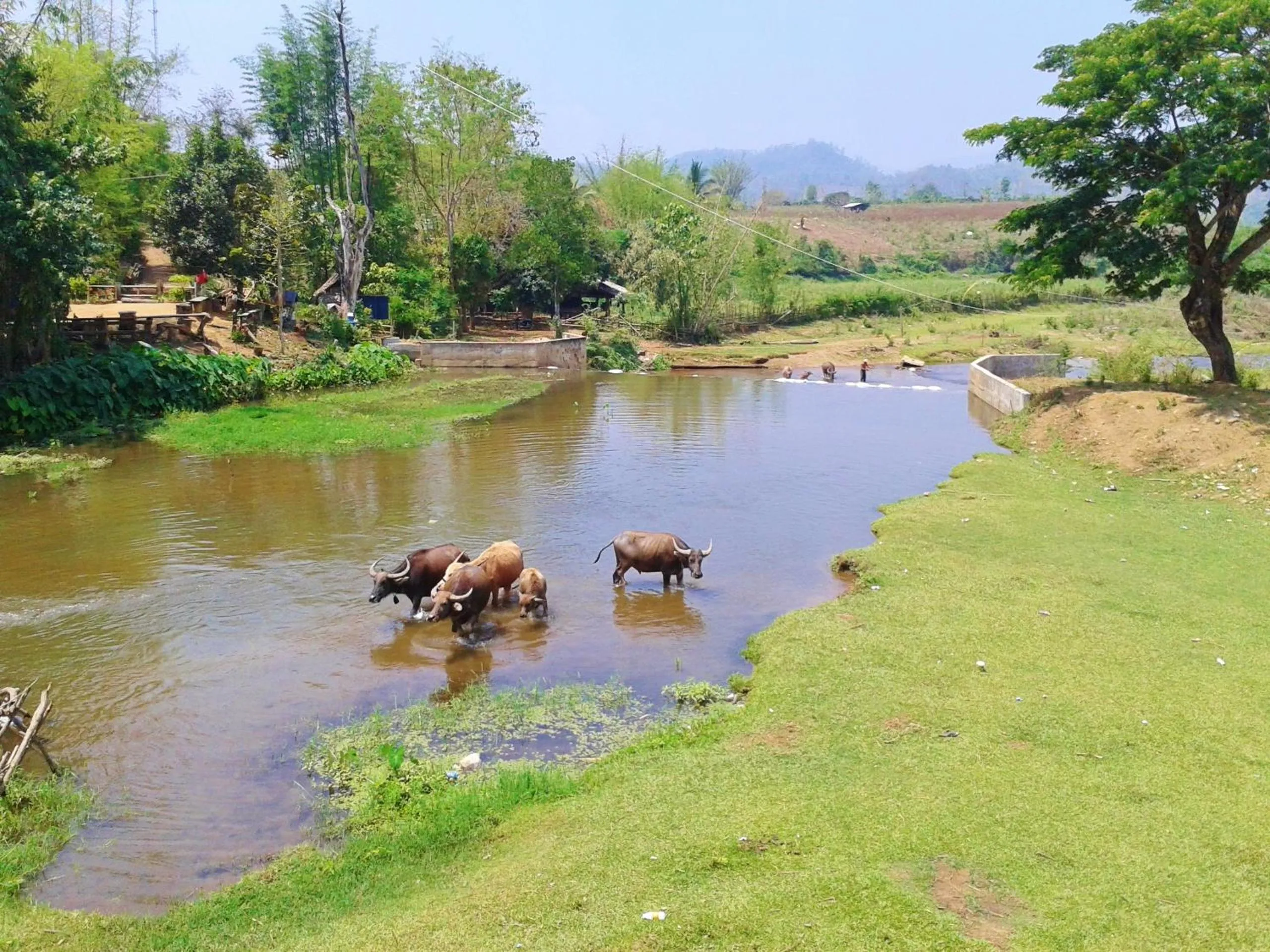 Natural landscape in Huan Chiang Dao Resort