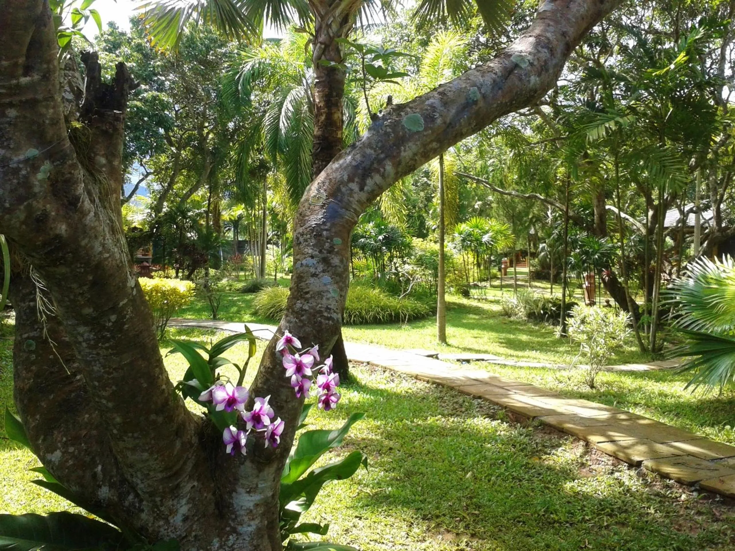 Garden in Huan Chiang Dao Resort