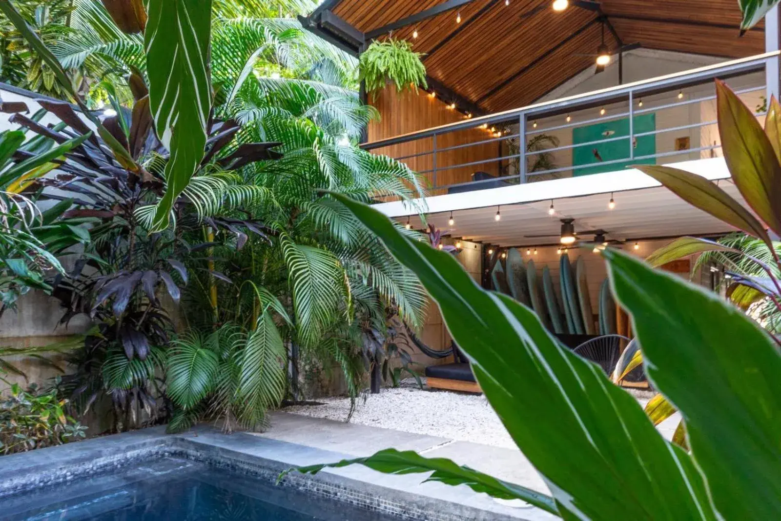 Garden view in Ventura Santa Teresa Garden view in Ventura Santa Teresa