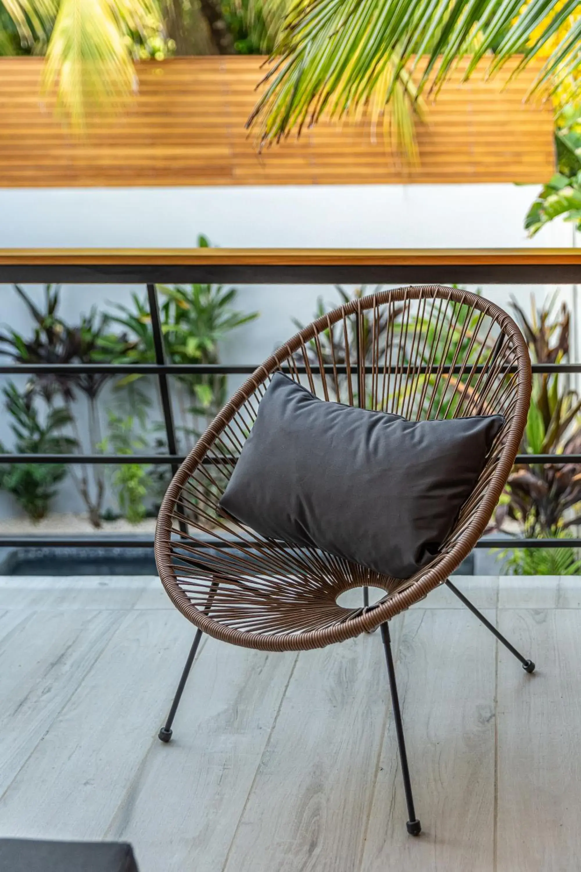 Patio in Ventura Santa Teresa Patio in Ventura Santa Teresa