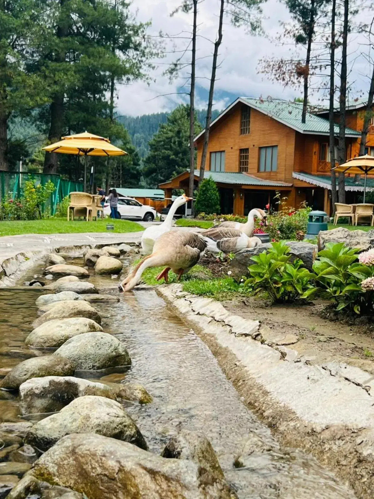 Property building in Radisson Golf Resort Pahalgam Property building in Radisson Golf Resort Pahalgam