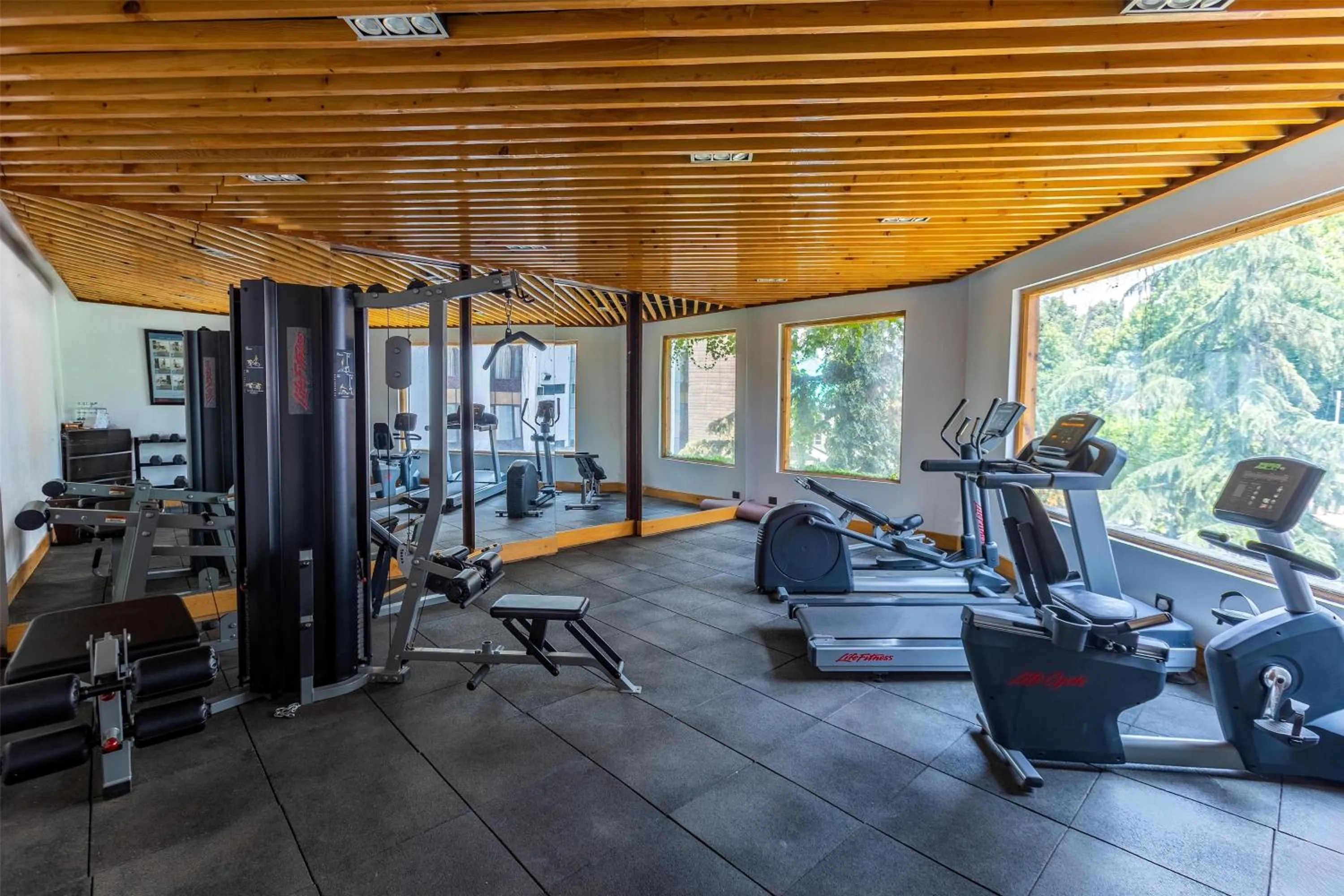 Fitness centre/facilities in Radisson Srinagar