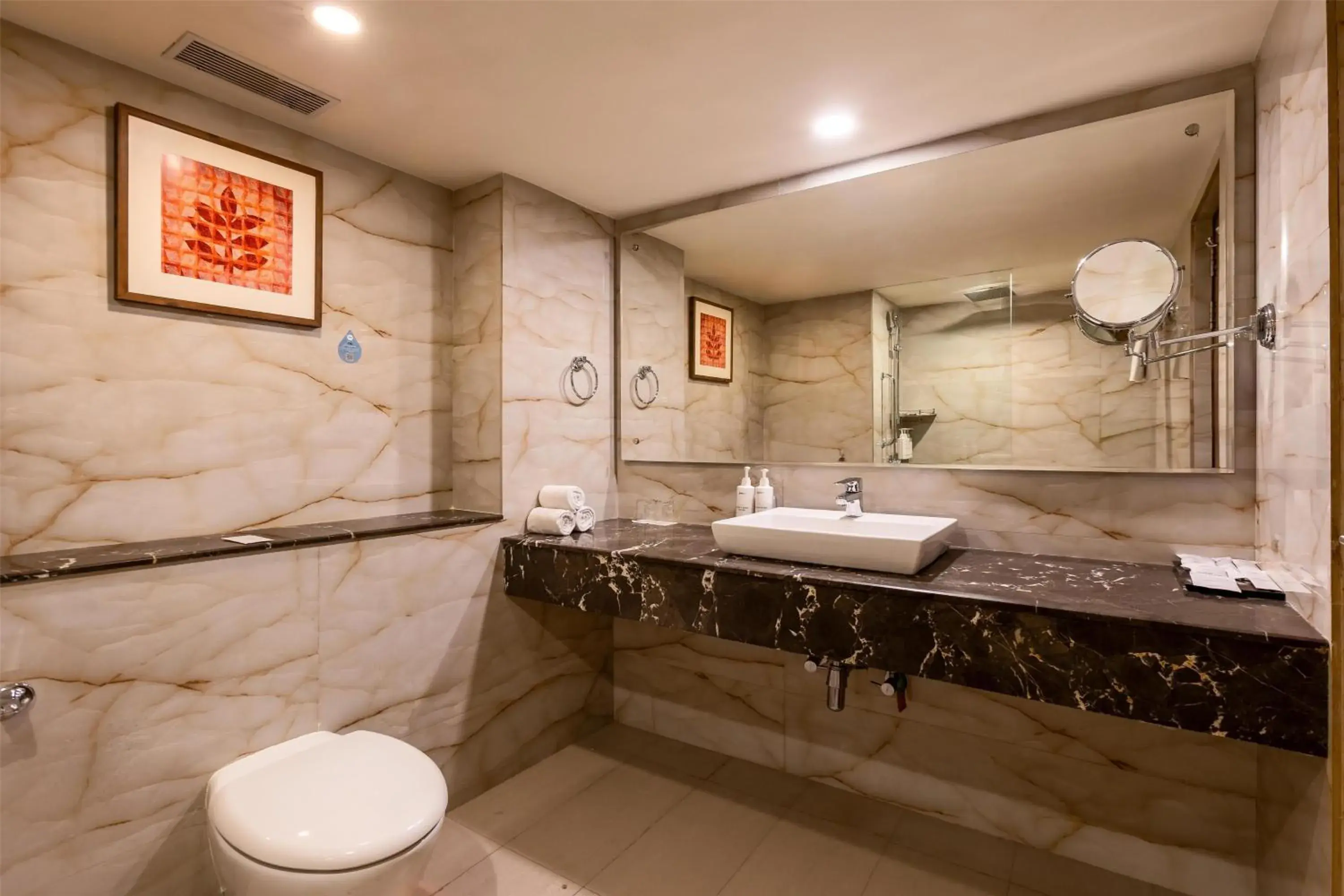 Bathroom in Radisson Srinagar Bathroom in Radisson Srinagar