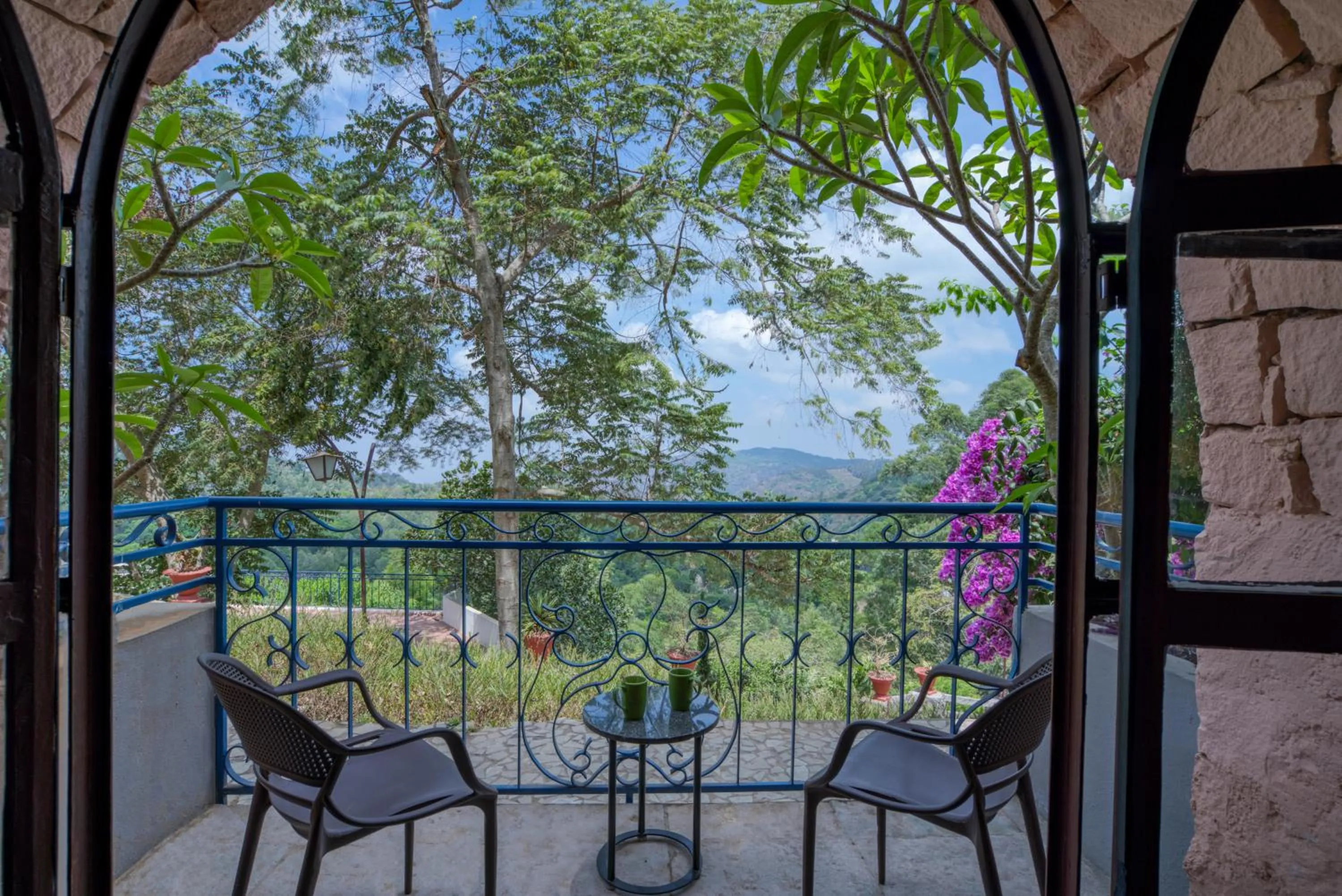 Day in Mango Hill Yercaud