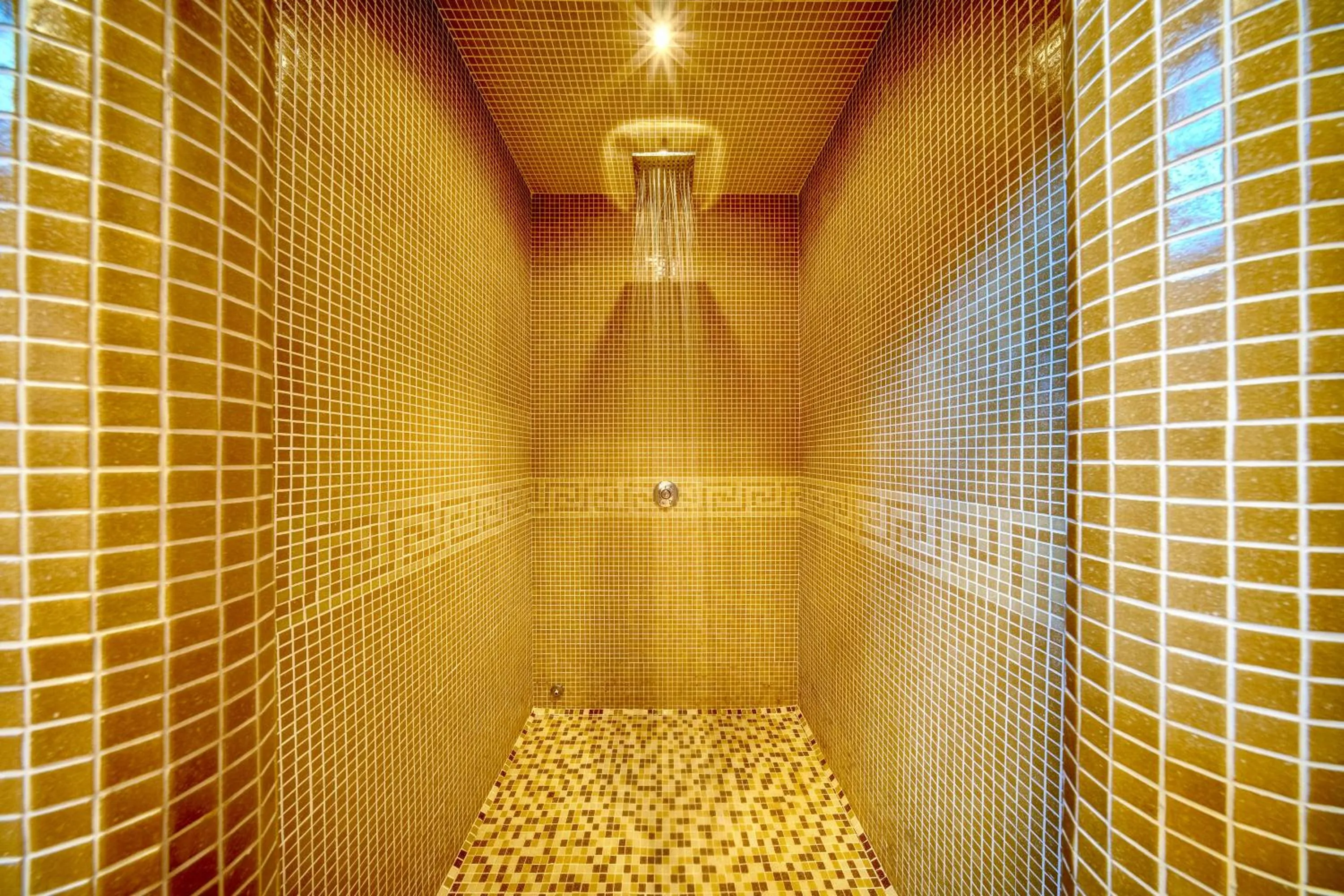 Shower in Oak Residence Hotel & Relax