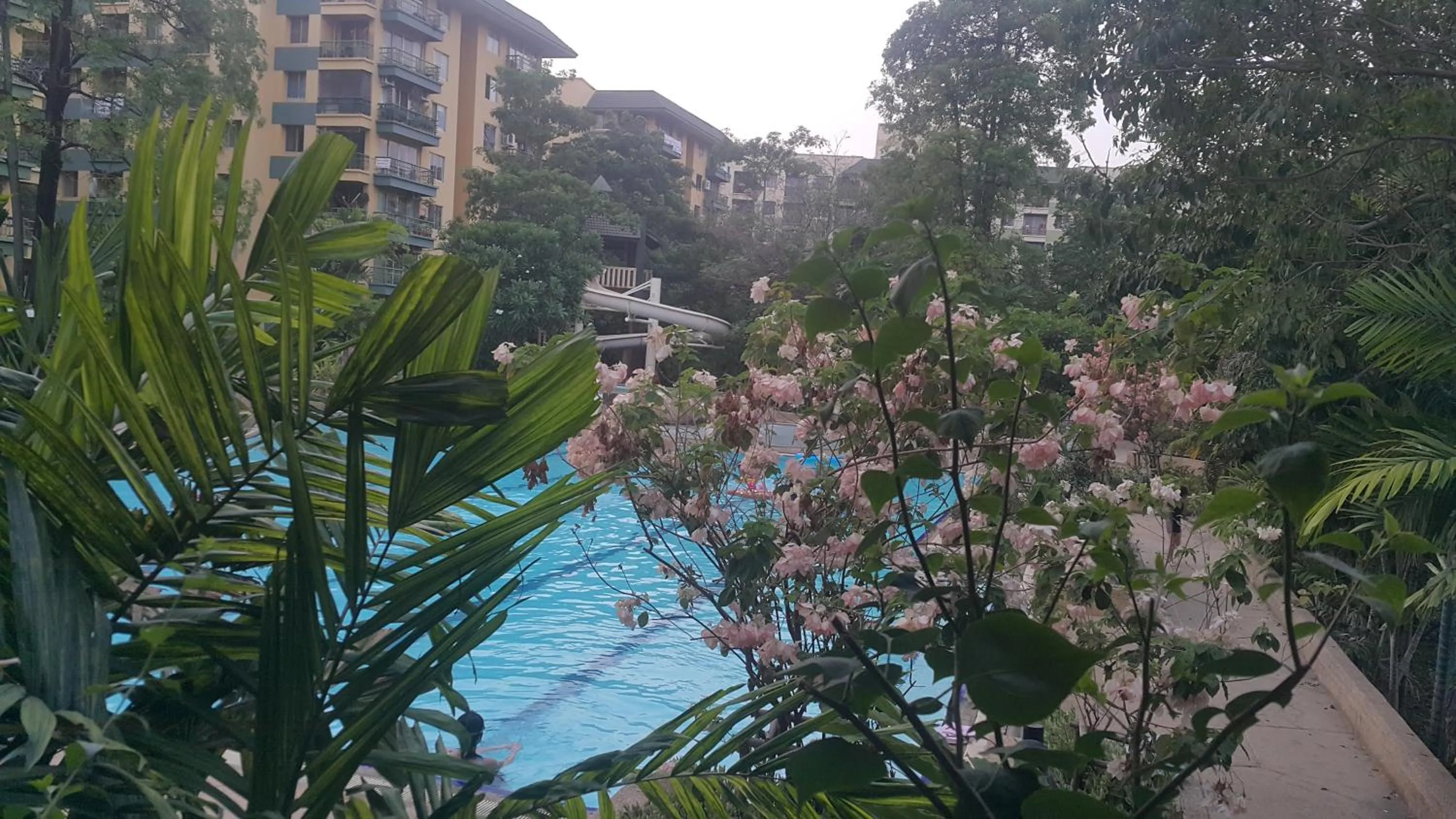 Garden in The Park Land Bangna by Nudda