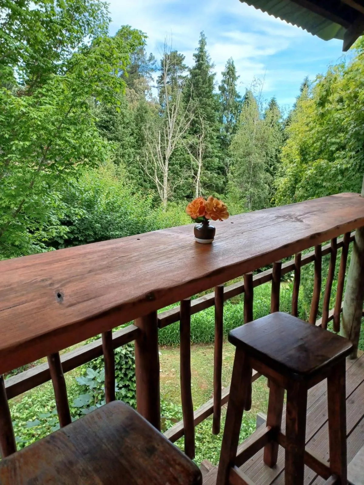 View (from property/room) in Maple Grove