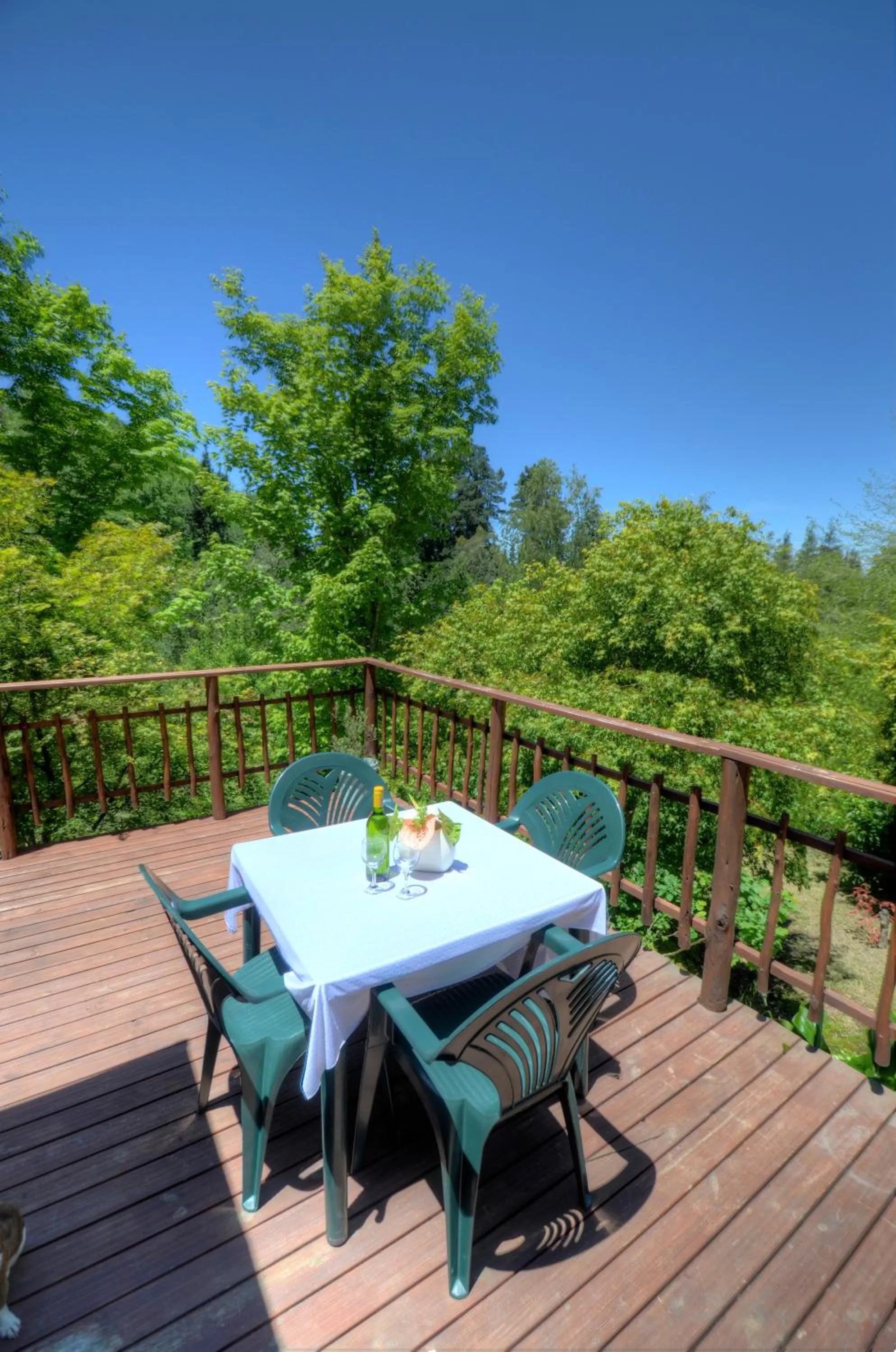 Balcony/Terrace in Maple Grove