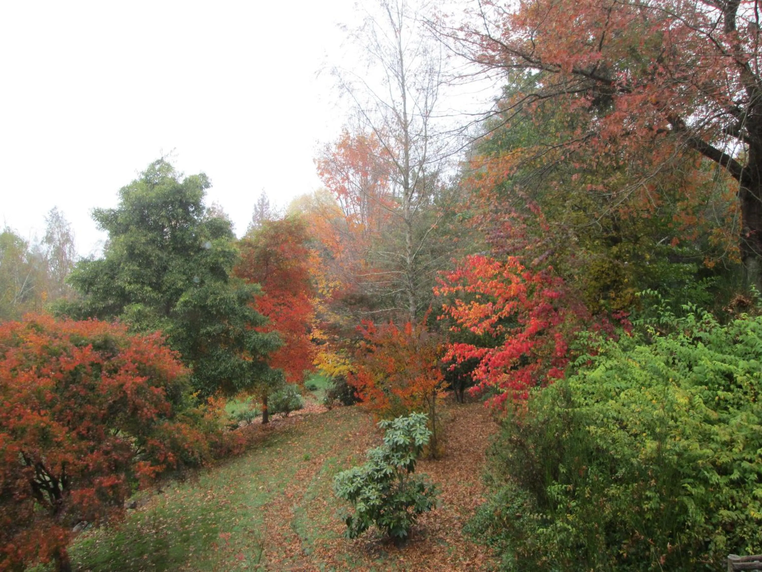 Garden view in Maple Grove