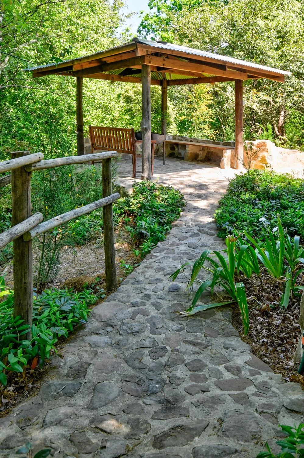 Garden in Maple Grove