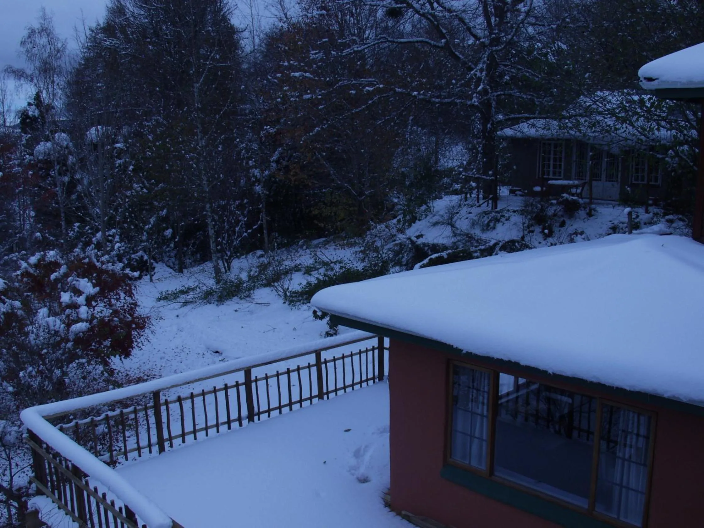 Garden view in Maple Grove
