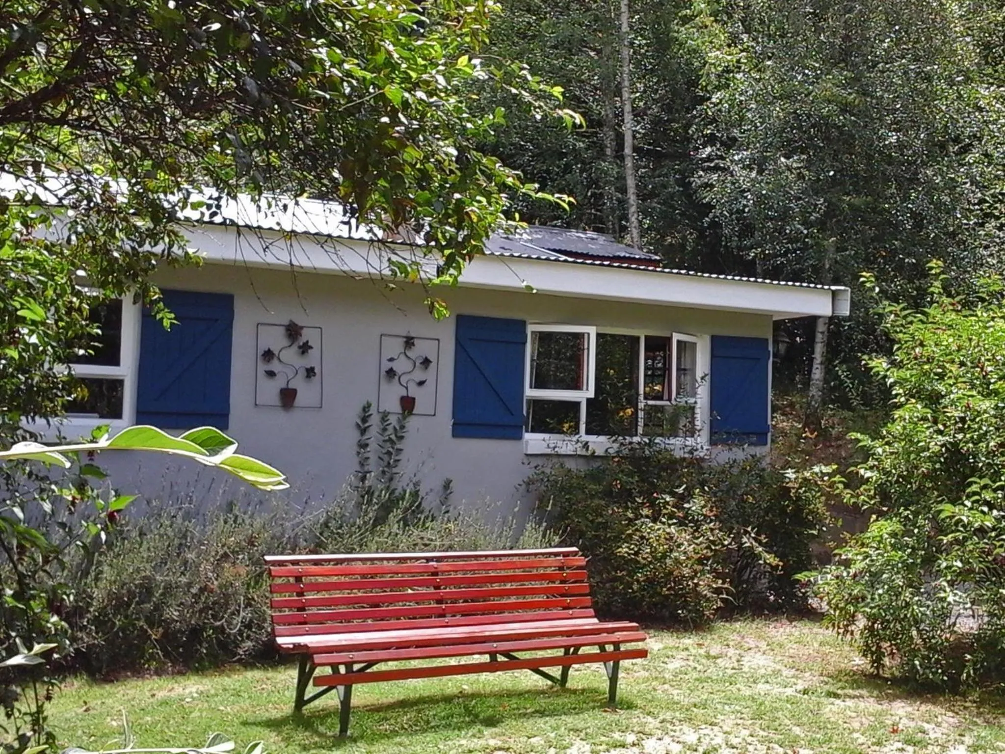 Garden in Maple Grove