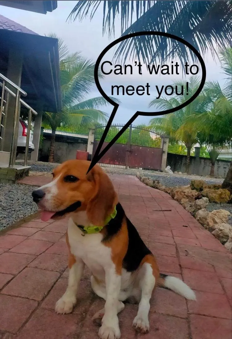 Text overlay in Tyner's Place