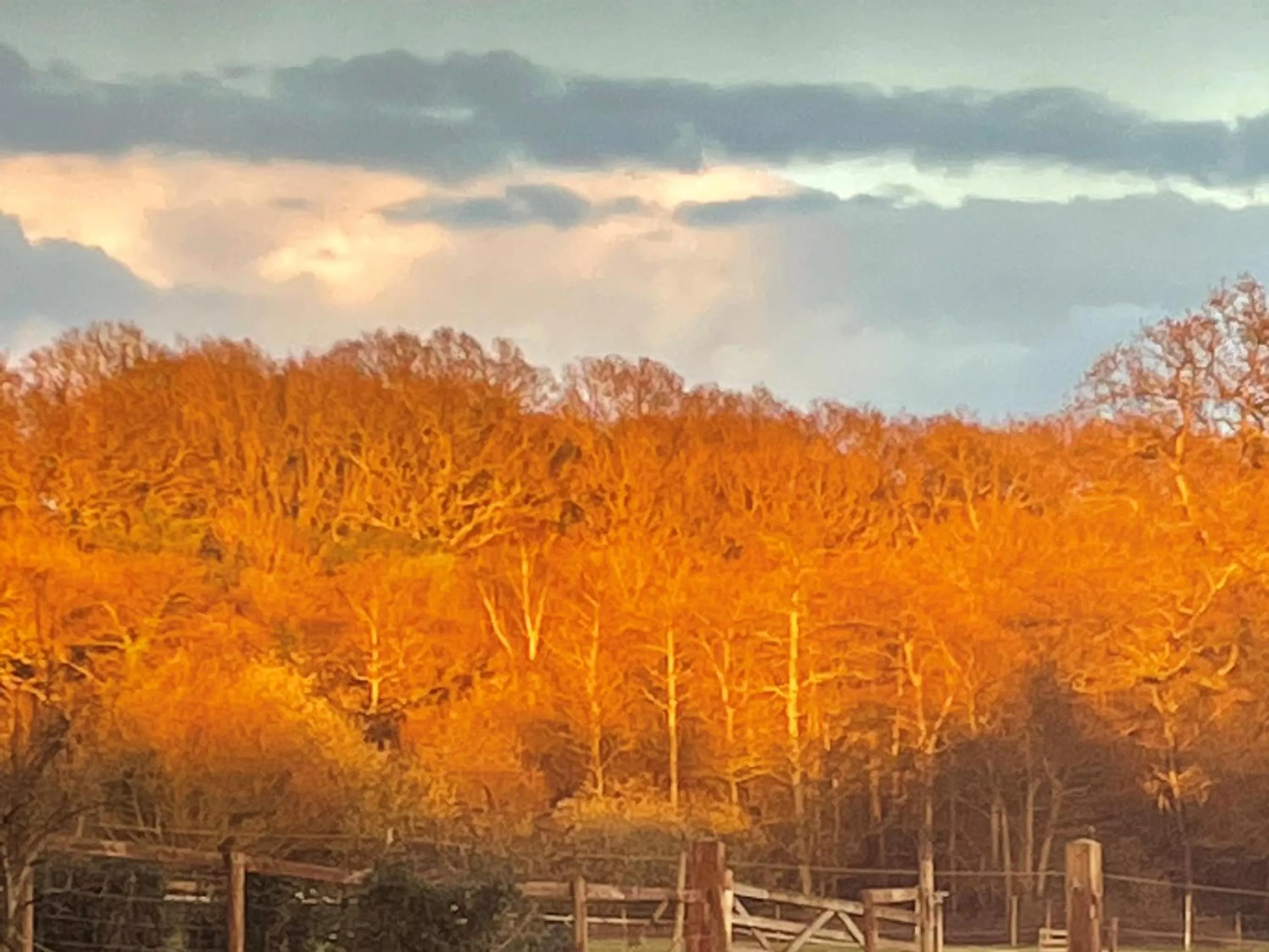 Day in The Dairyman Suite