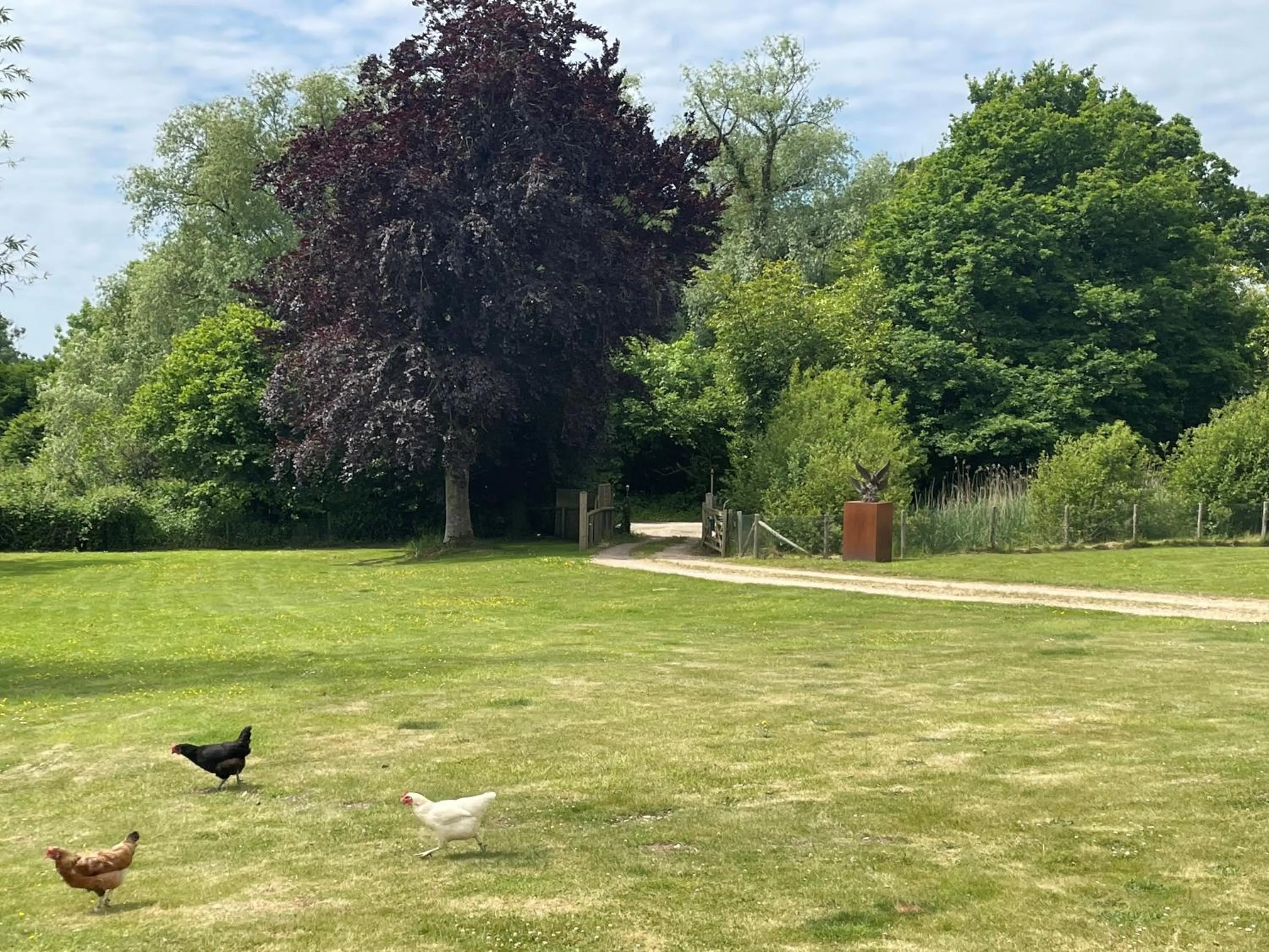 Spring in The Dairyman Suite