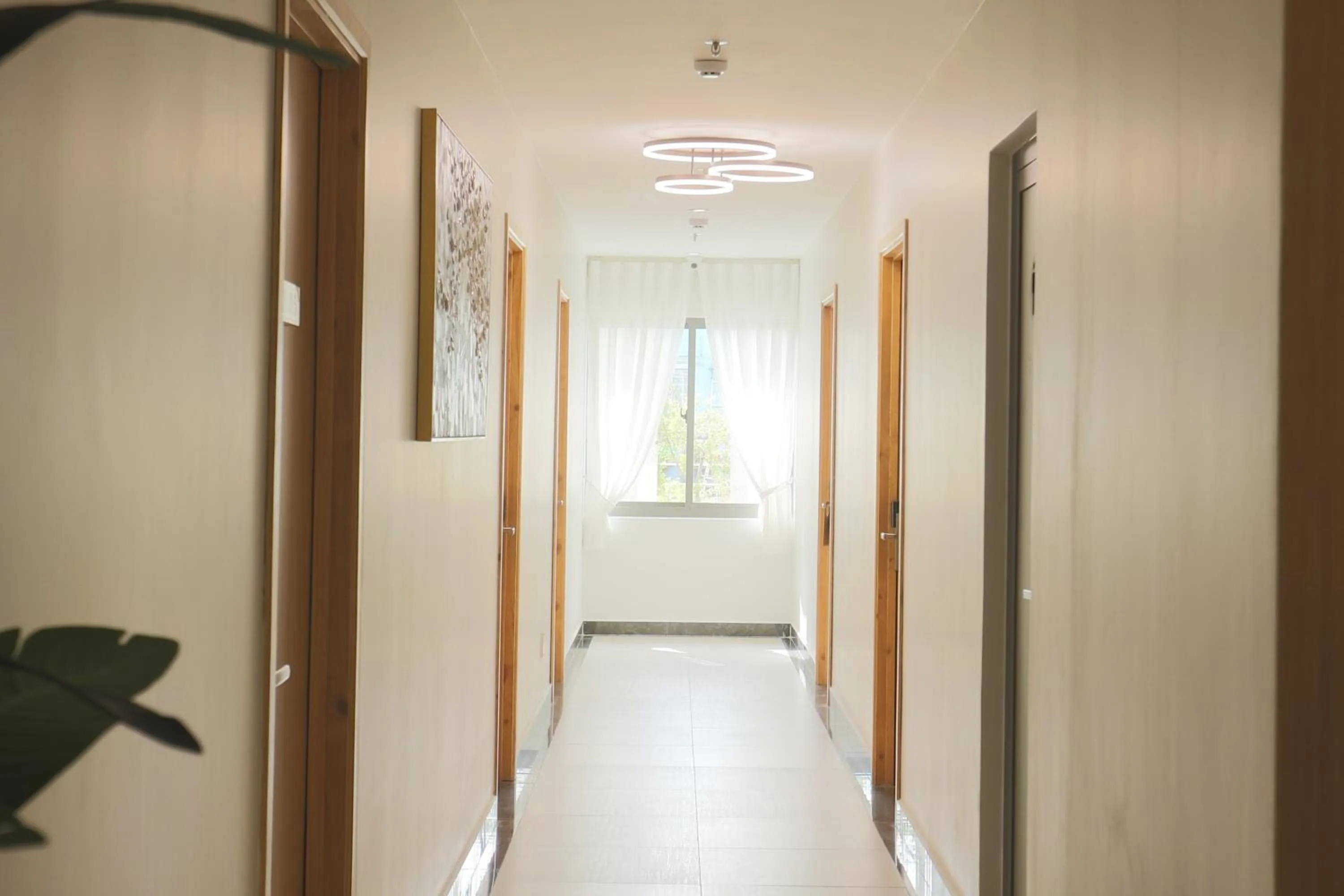 Area and facilities in Lanura Apartments and Hotel