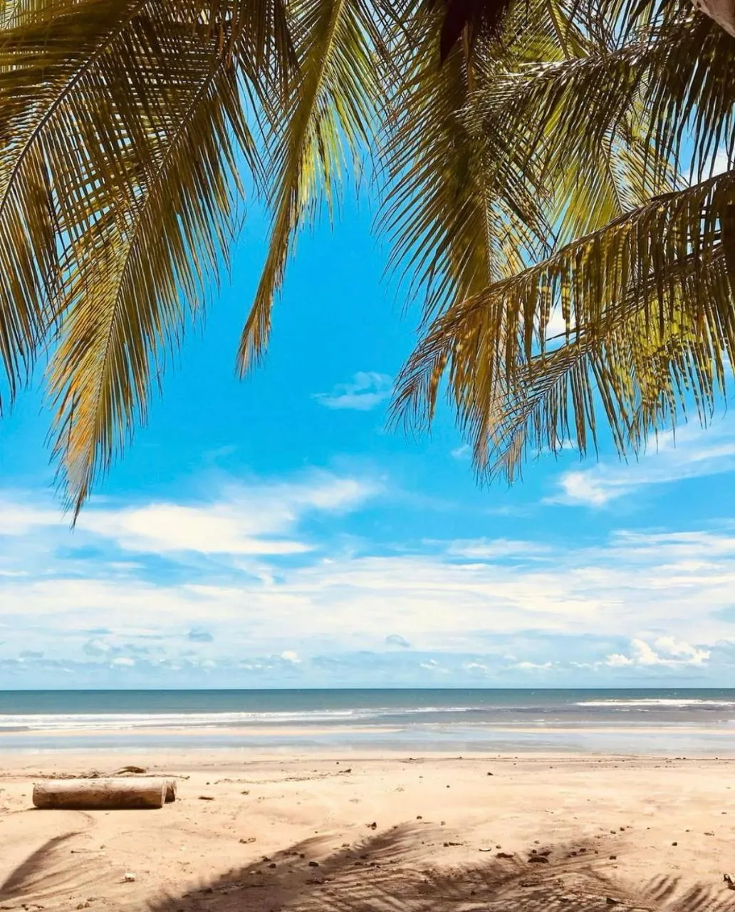 Beach in Beach Eco Stays Hotel Boutique Lagoinha