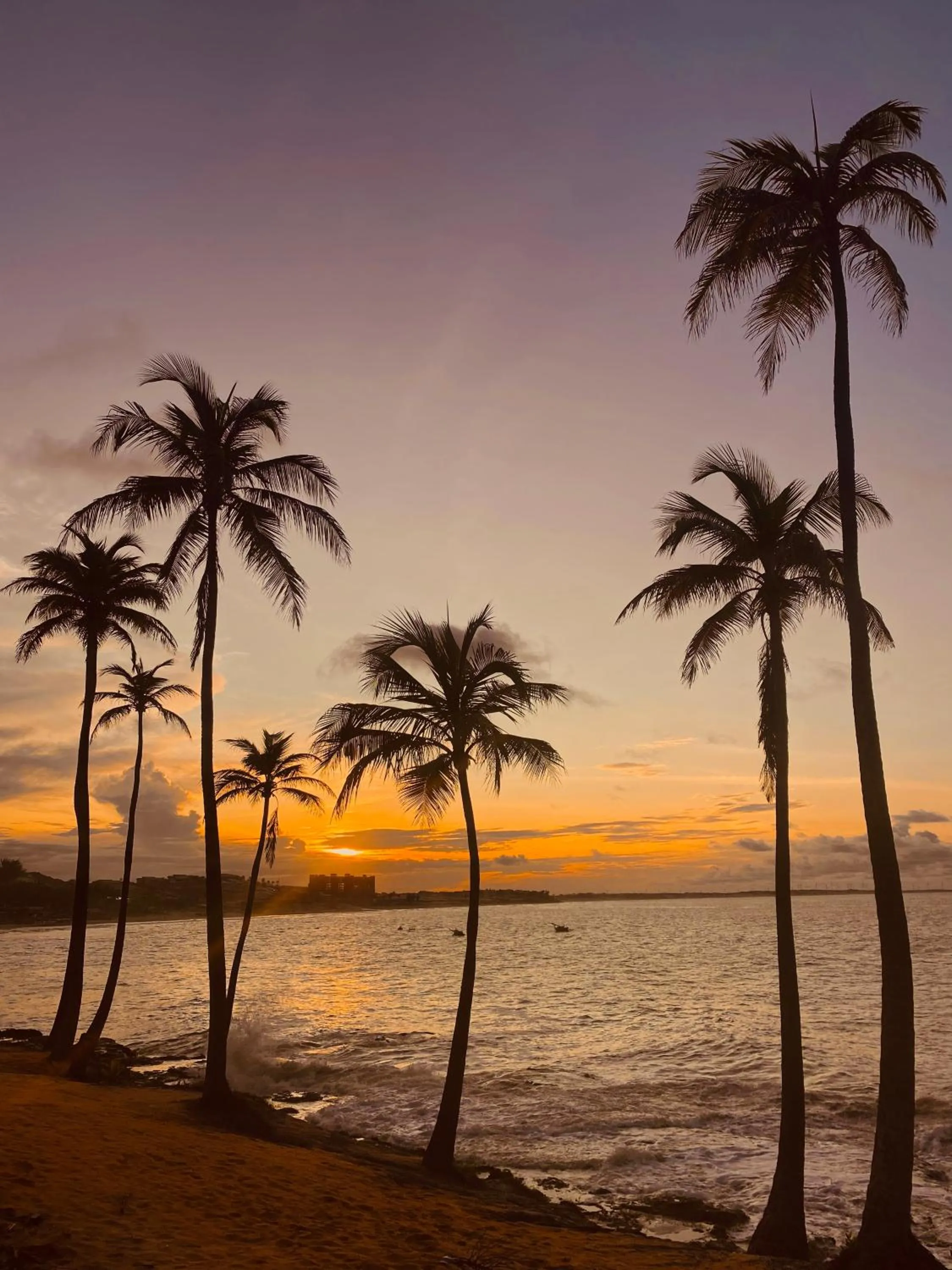 Beach in Beach Eco Stays Hotel Boutique Lagoinha