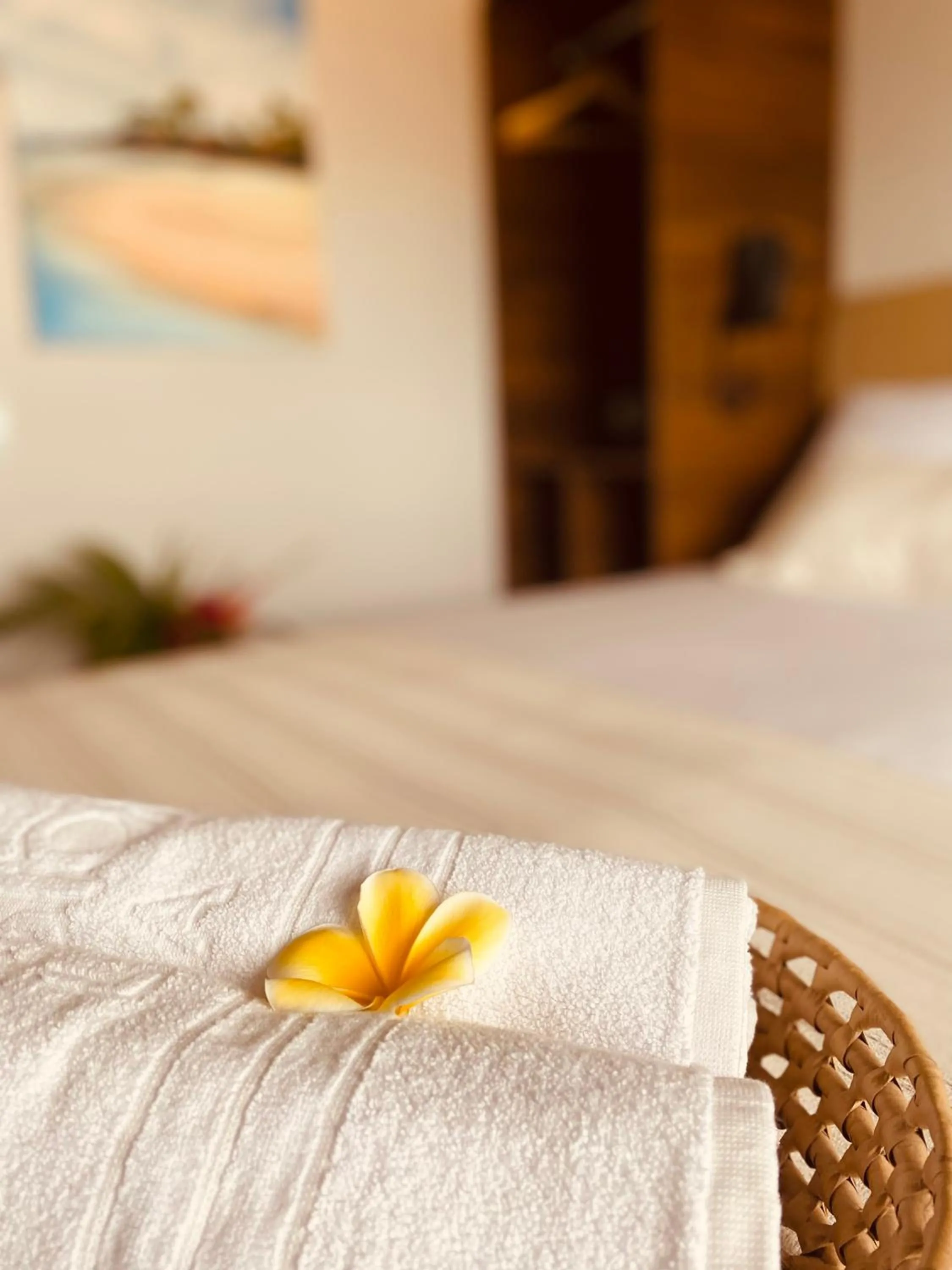Bed in Beach Eco Stays Hotel Boutique Lagoinha