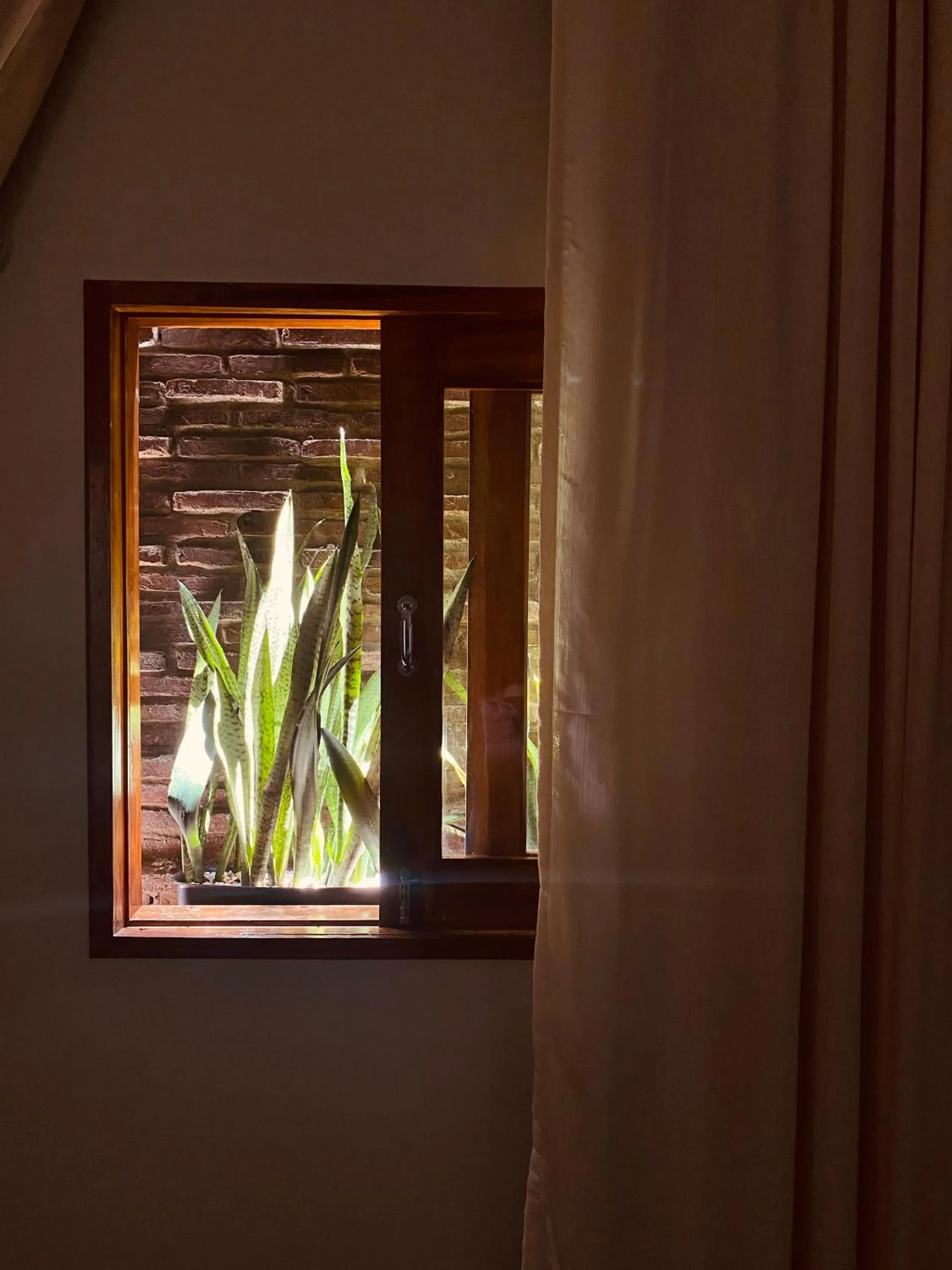Inner courtyard view in Beach Eco Stays Hotel Boutique Lagoinha