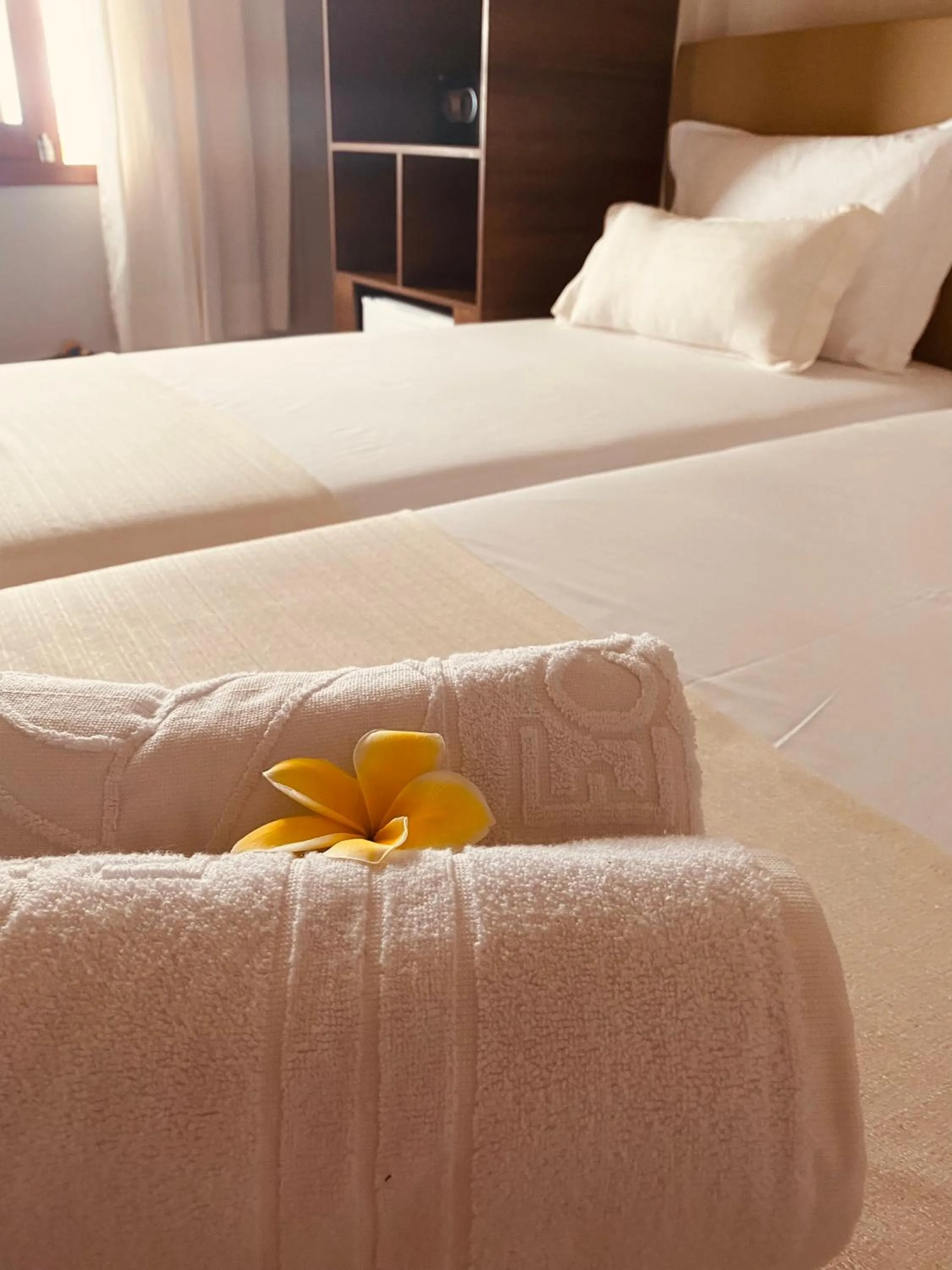 Bed in Beach Eco Stays Hotel Boutique Lagoinha