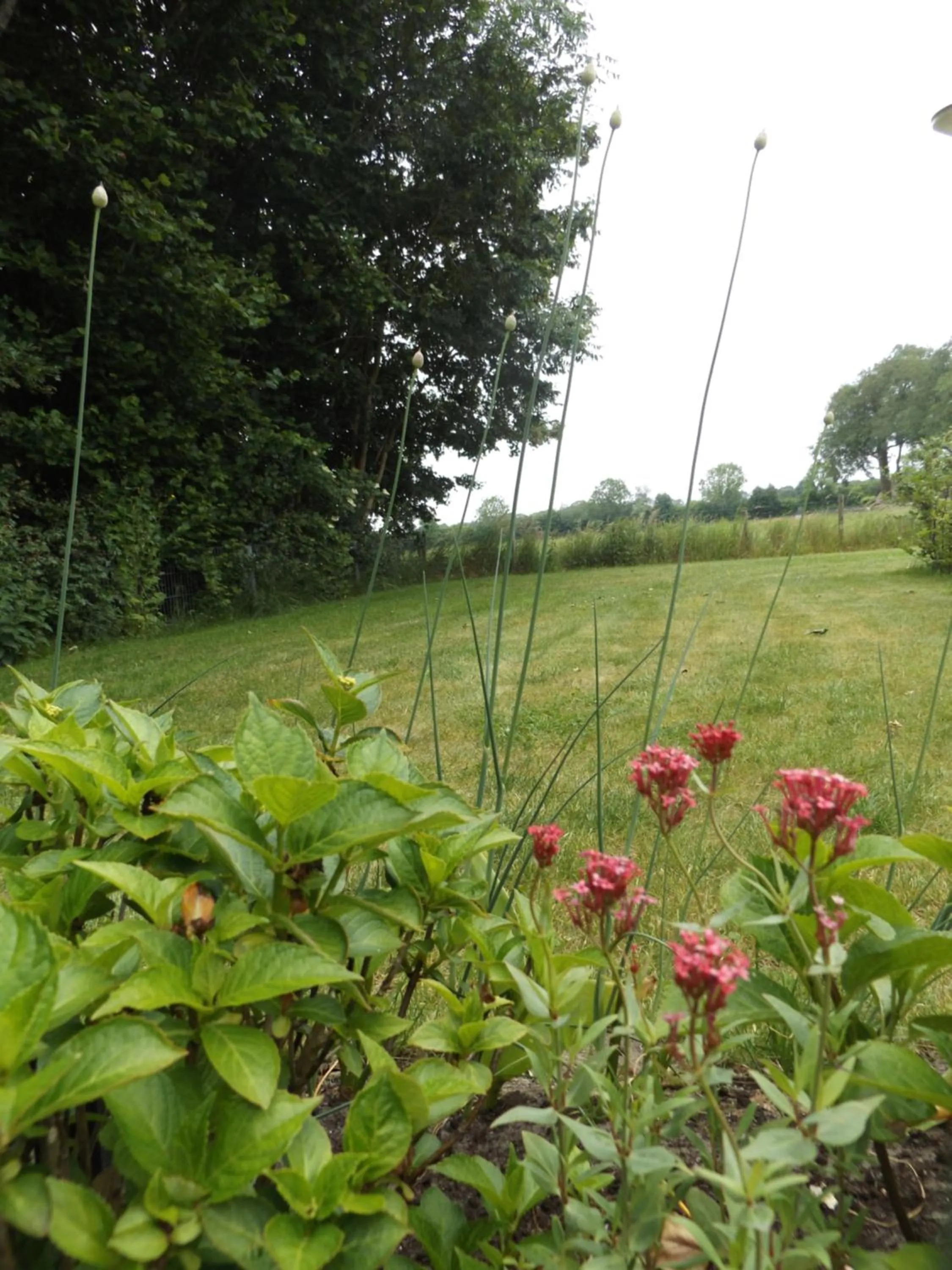 View (from property/room) in Het Broekeroord