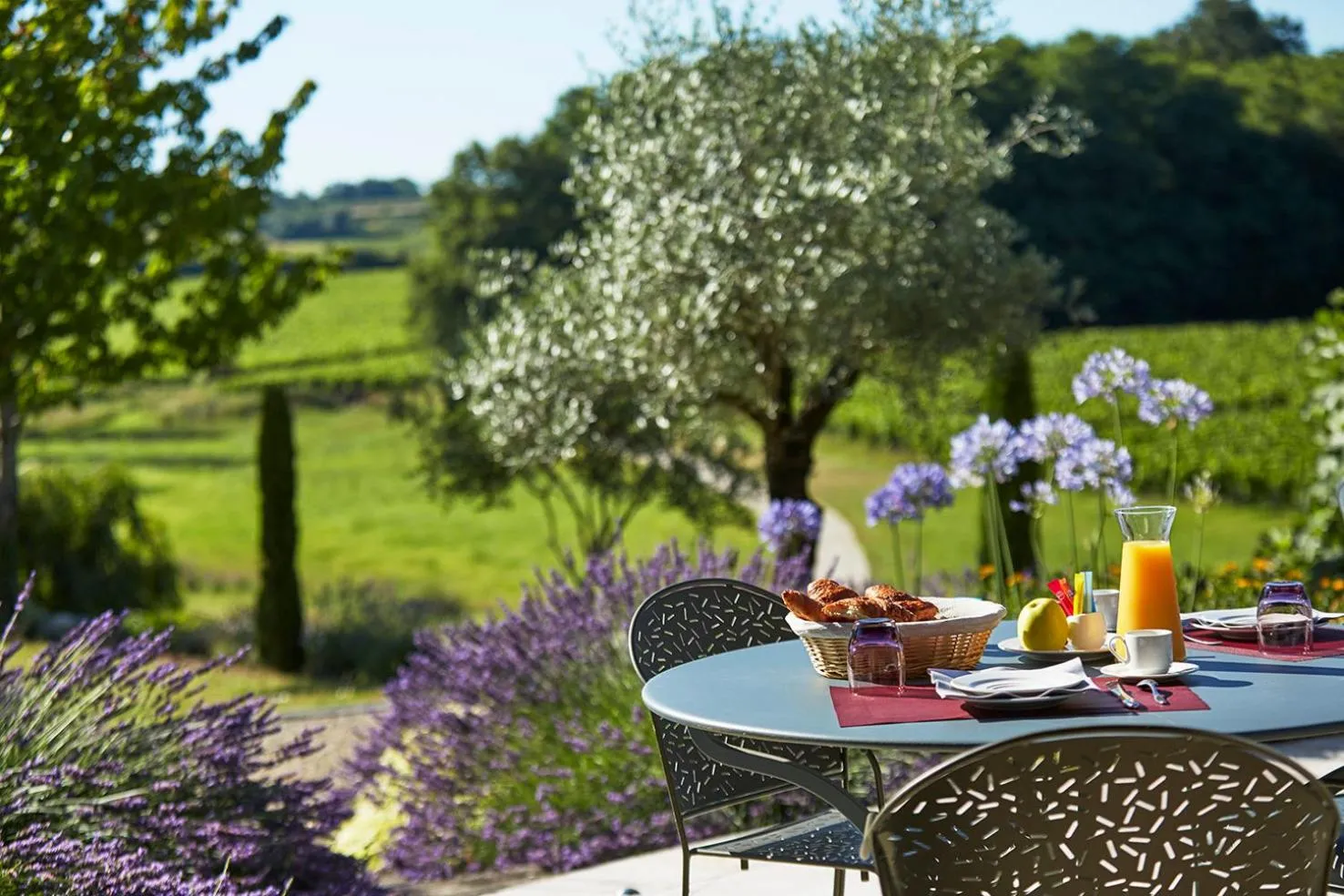 Garden in Château la Rose Perriere