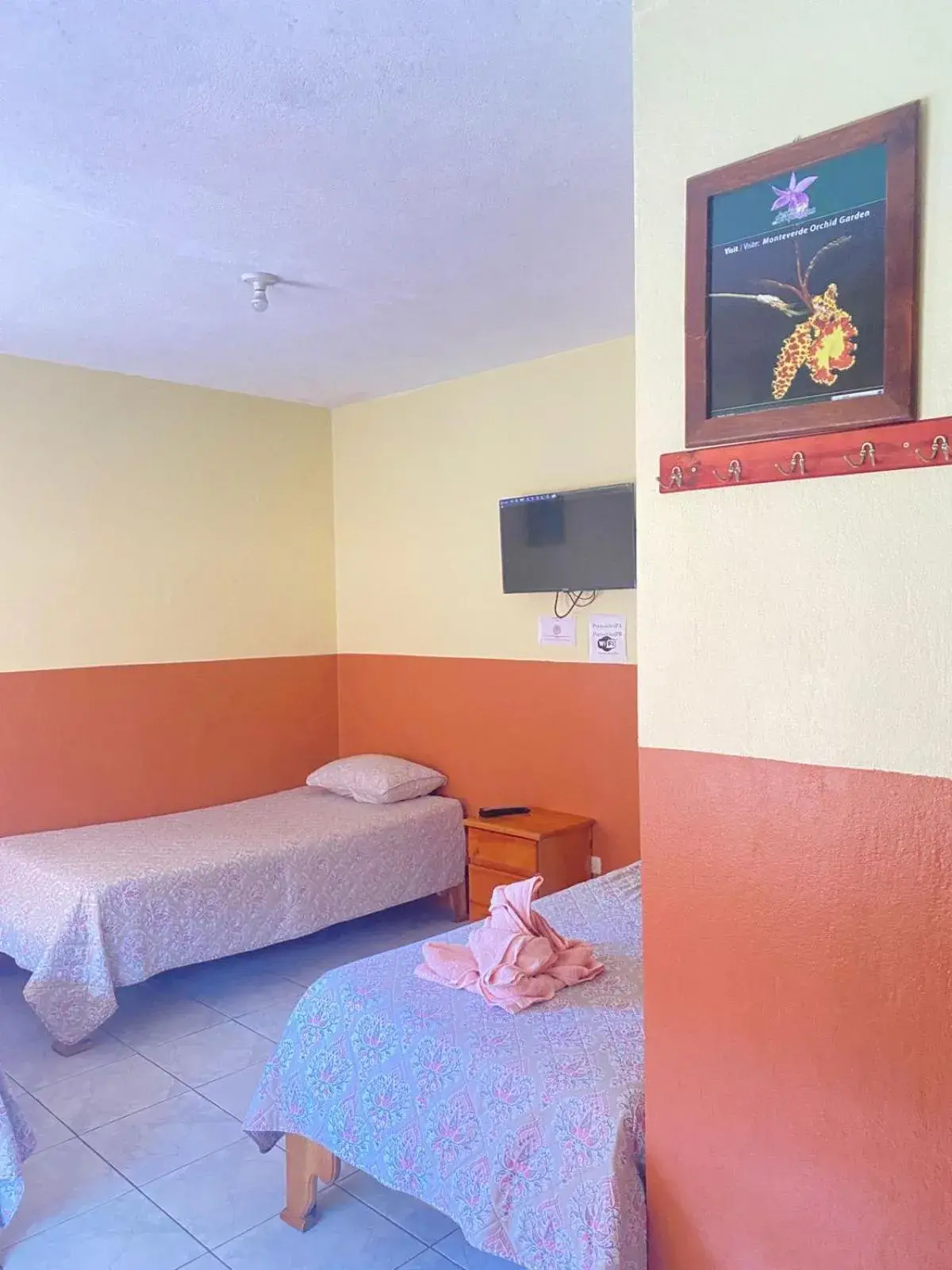 Triple Room - single occupancy in Hotel La Puesta Del Sol B&B Triple Room - single occupancy in Hotel La Puesta Del Sol B&B