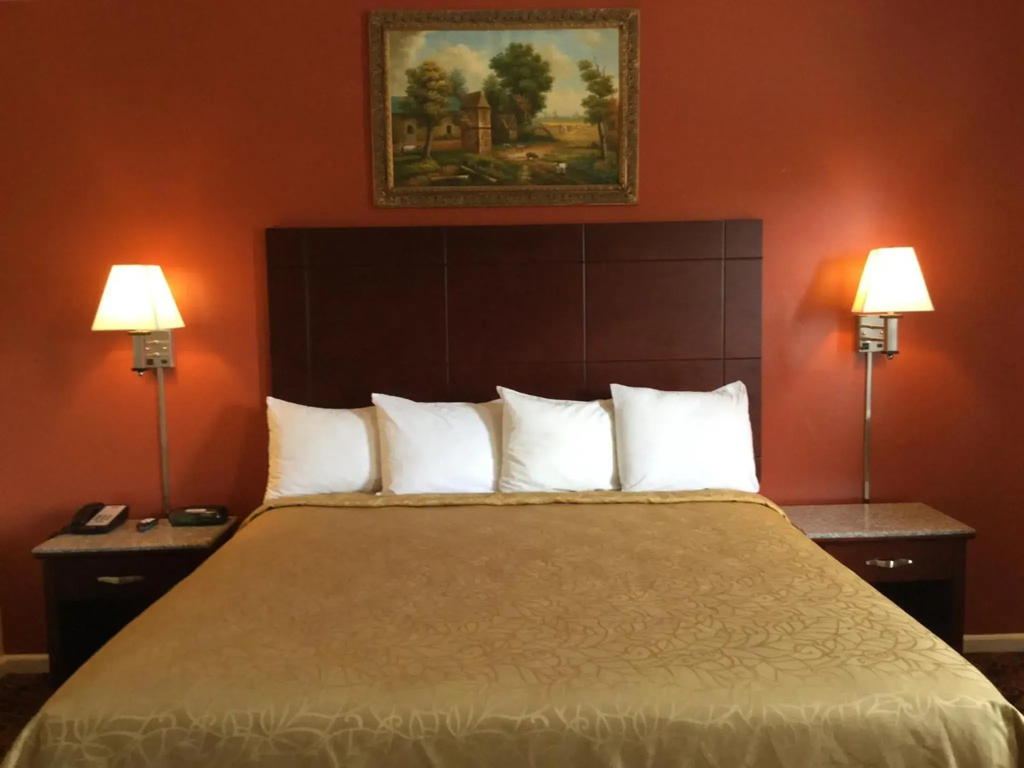 Bed in Red Carpet Inn-Bridgeton/Vineland Bed in Red Carpet Inn-Bridgeton/Vineland