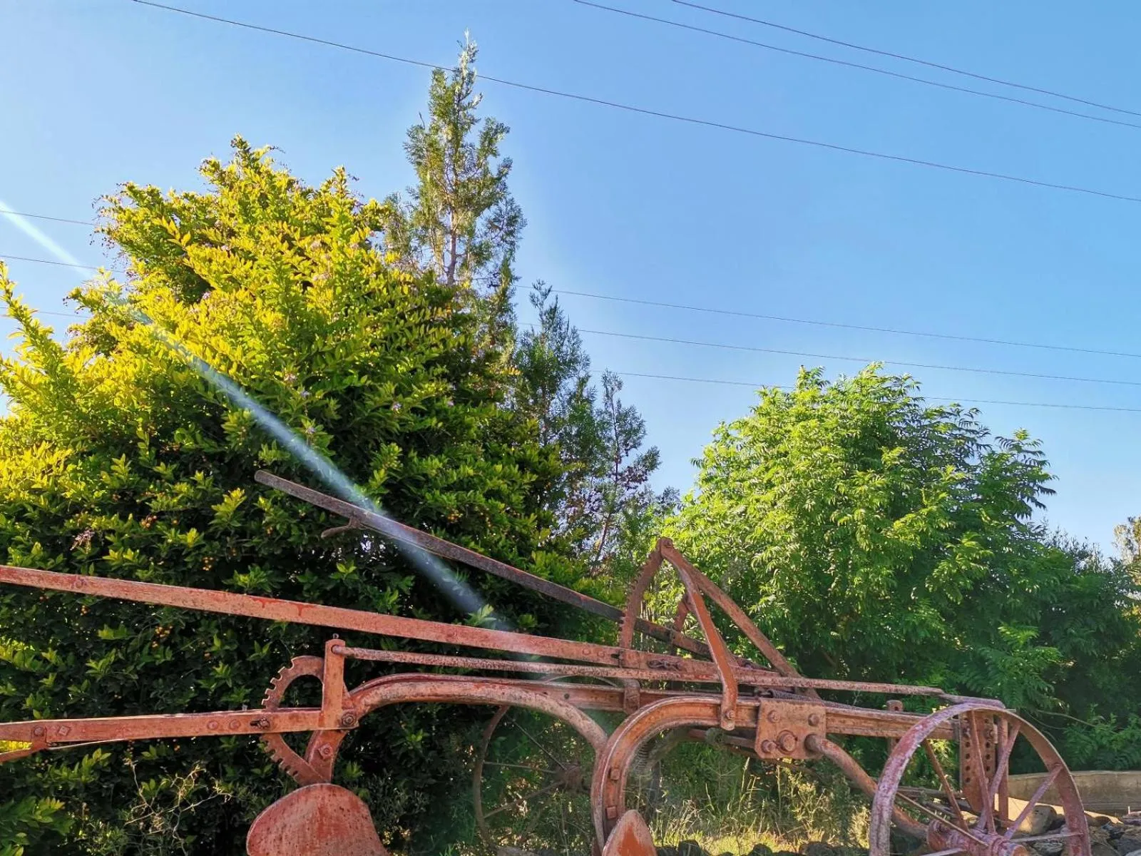 Garden in Monakaladi Gardens Function Venue and Homestead