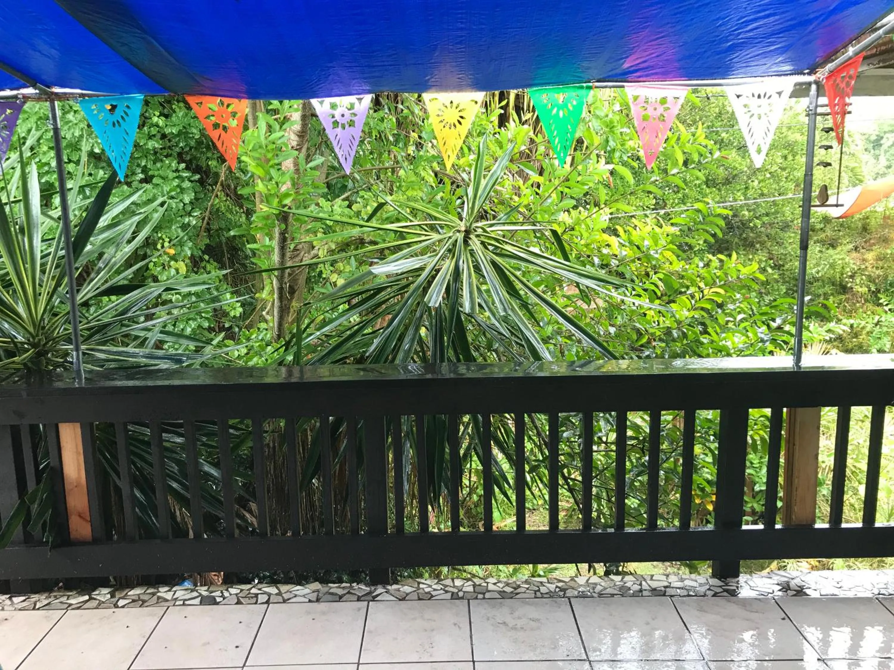 Shaka Shak Guest House