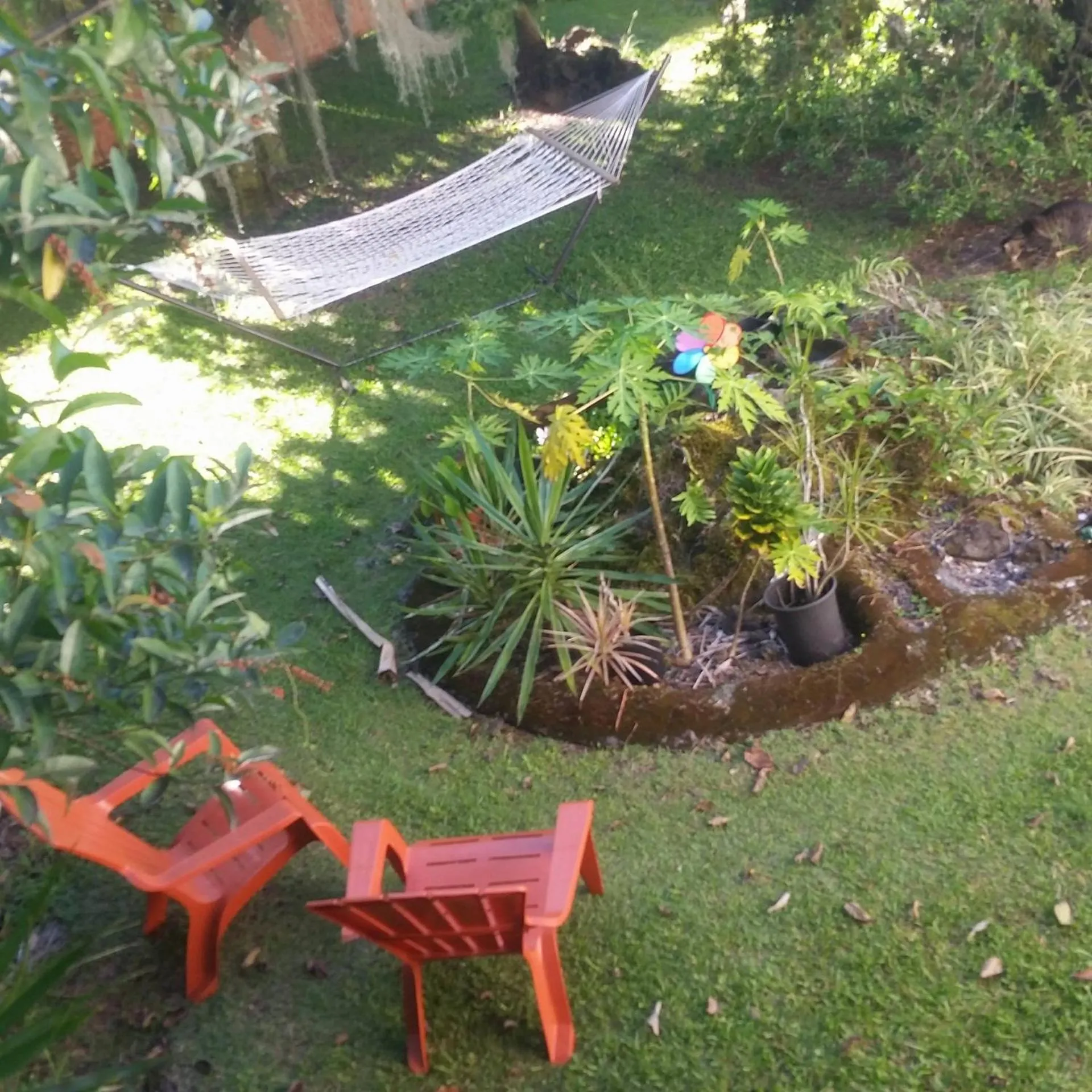 Garden in Shaka Shak Guest House