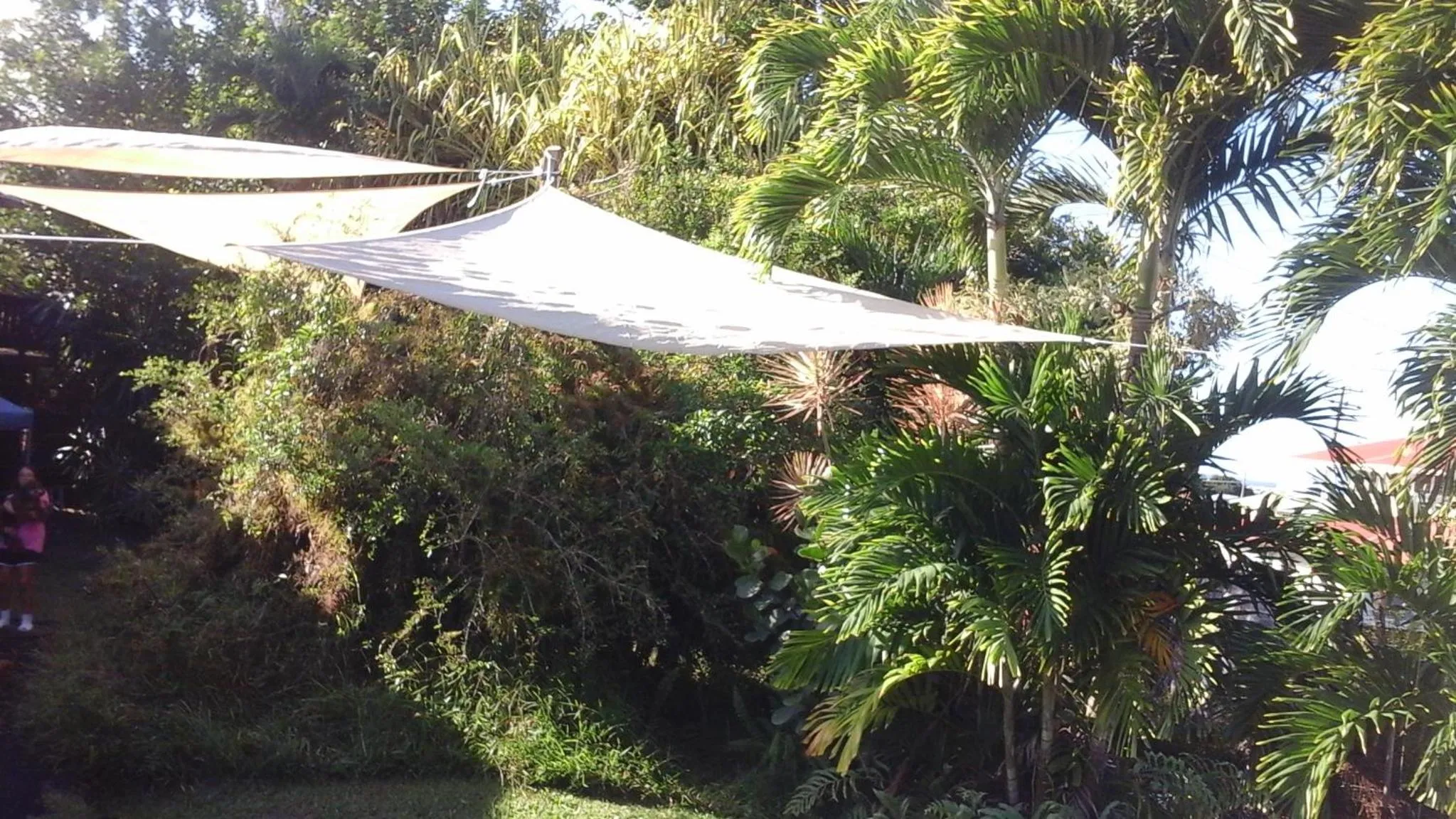 Garden view in Shaka Shak Guest House
