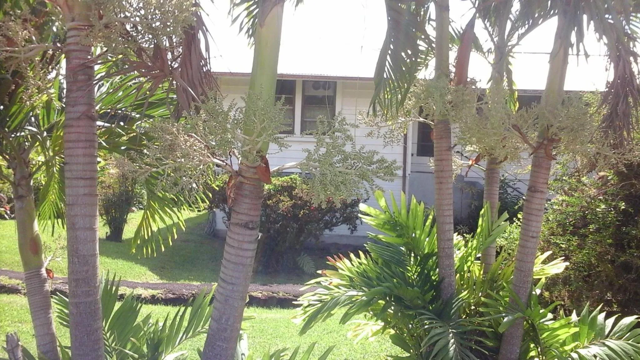 Garden view in Shaka Shak Guest House