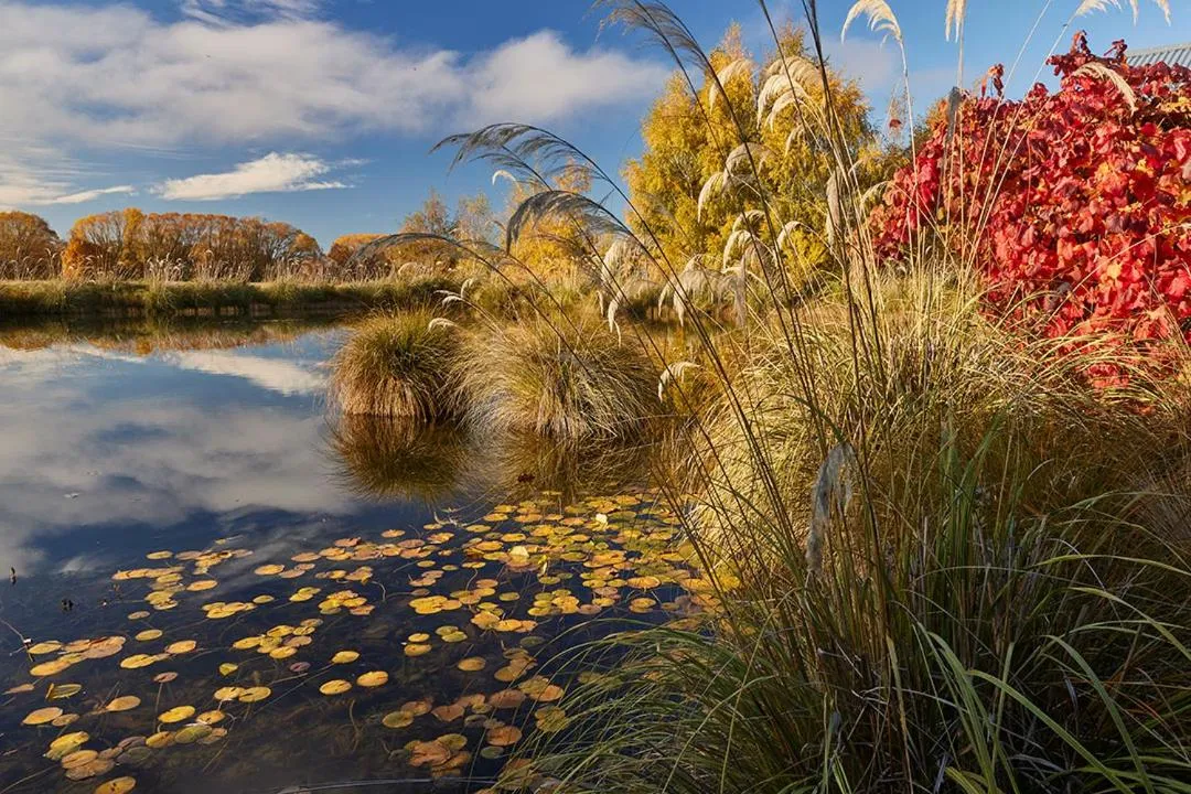 Natural landscape in Matuka Lodge