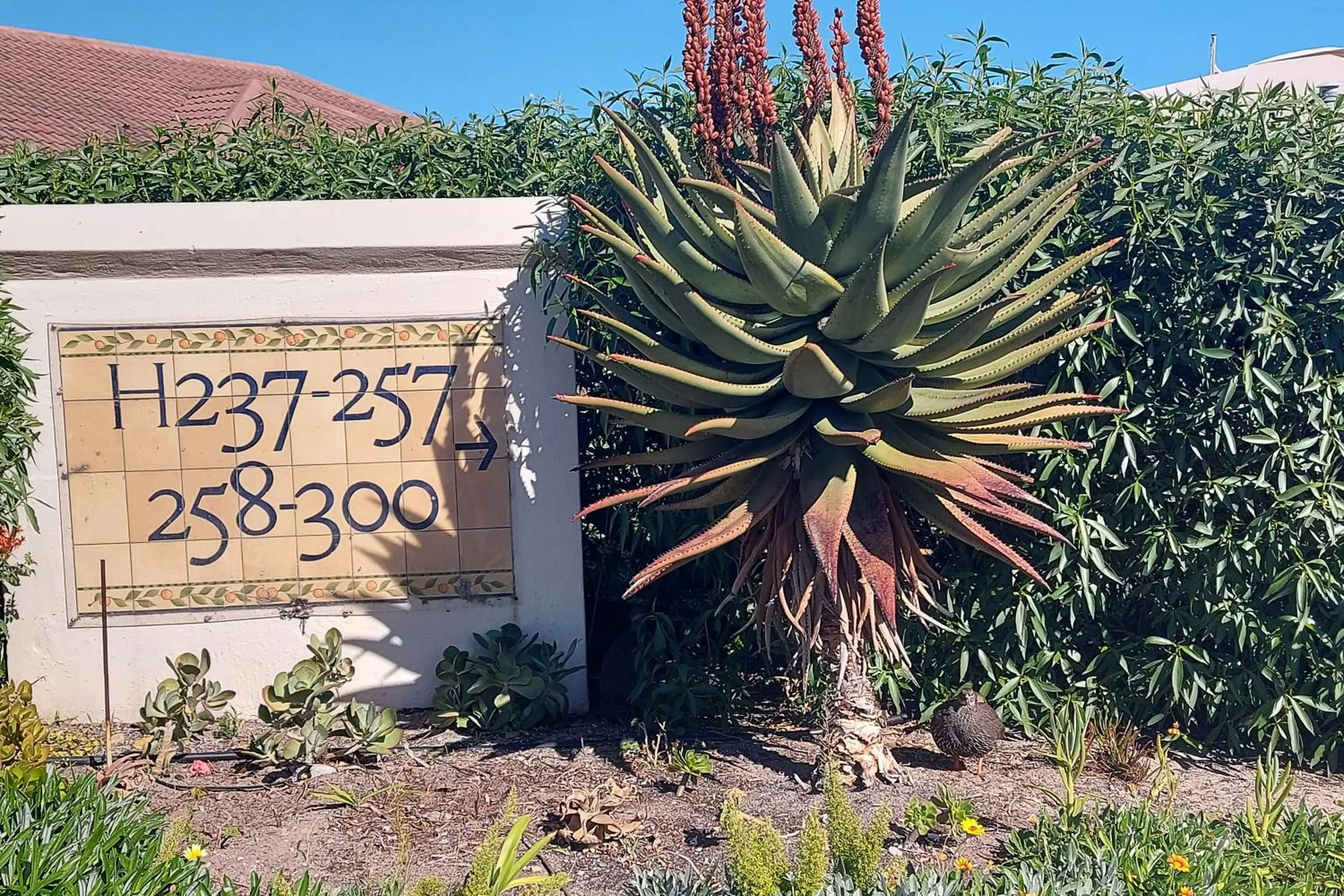 Garden in First Group Hermanus Beach Club
