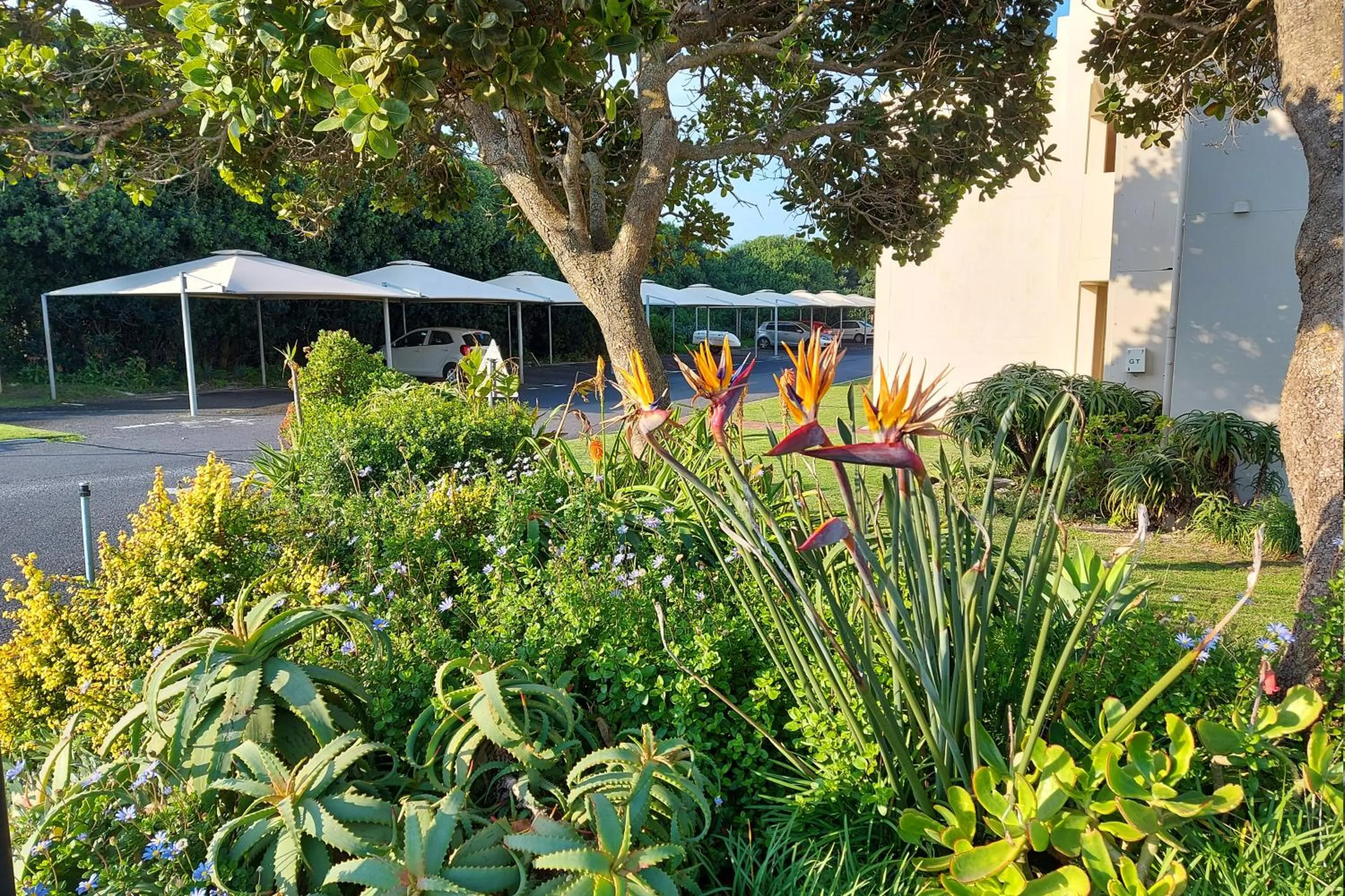 Property building in First Group Hermanus Beach Club