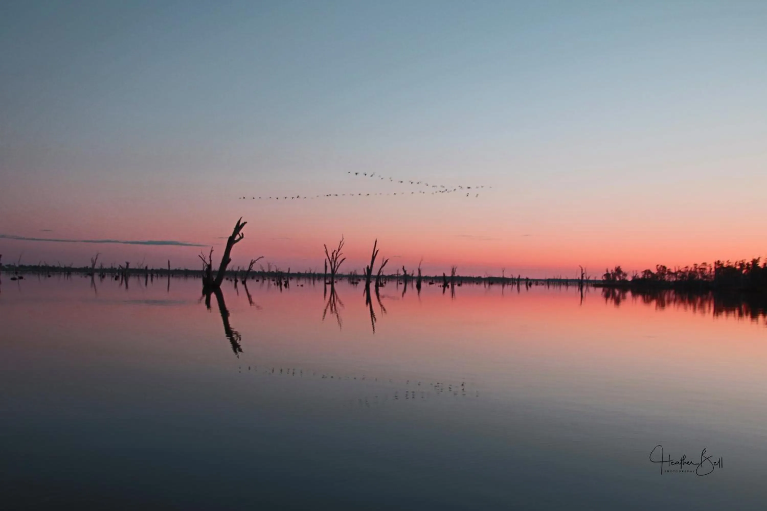 Lake view in Tasman Holiday Parks - Lake Mulwala
