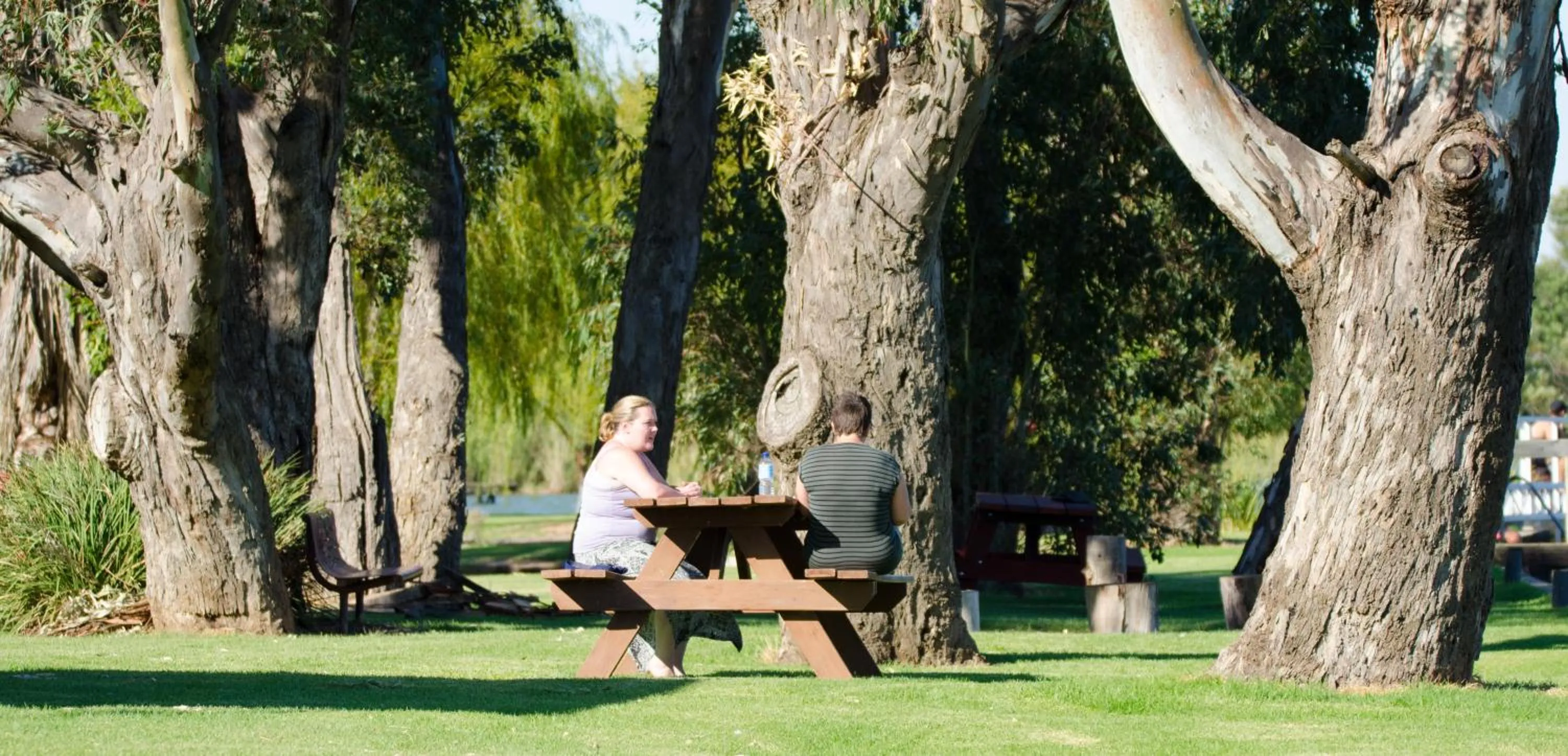 Garden in Tasman Holiday Parks - Lake Mulwala