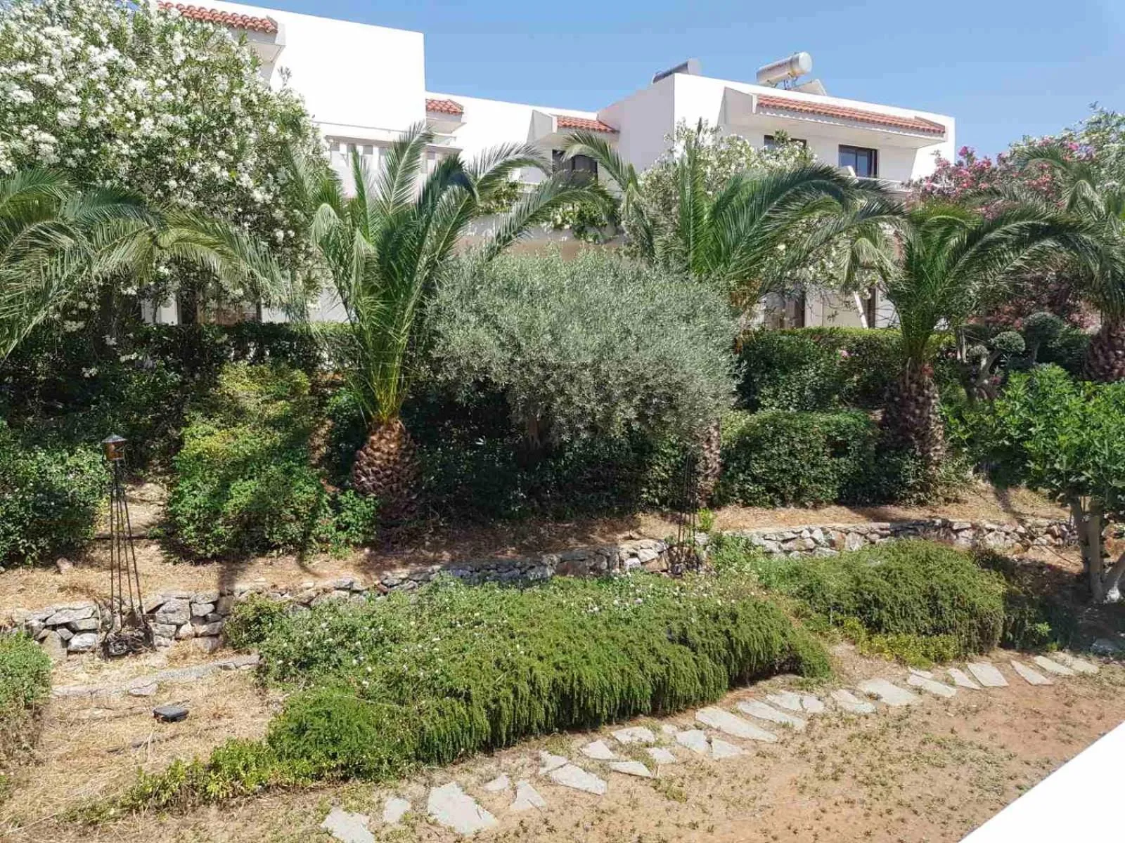 Garden, Property Building in Ziakis