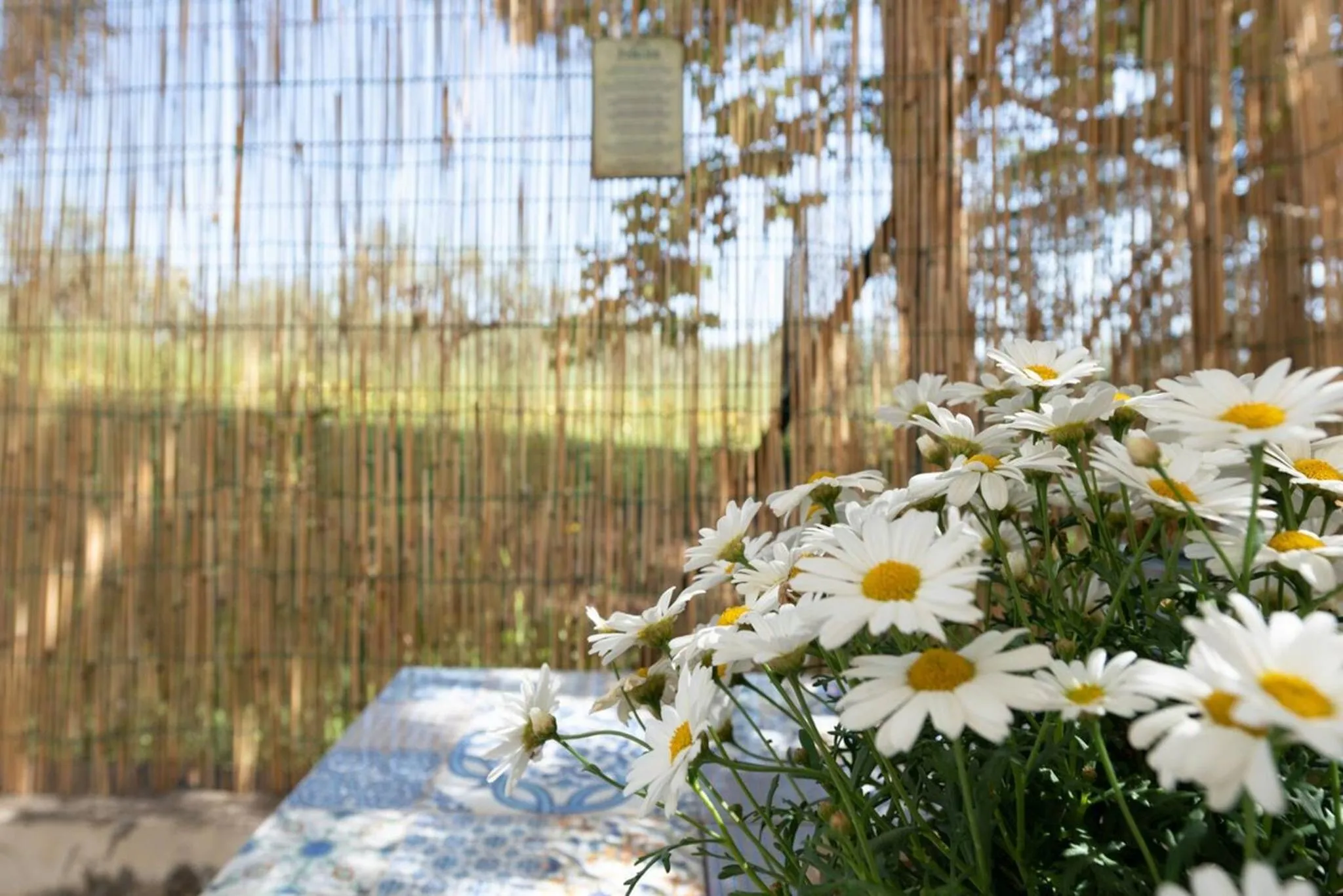 Off site in Il fico nel Pozzo - YourPlace Abruzzo