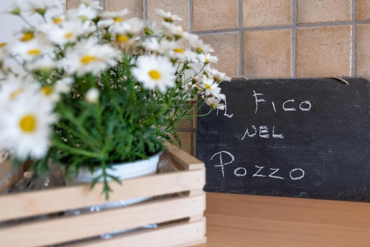 Other in Il fico nel Pozzo - YourPlace Abruzzo