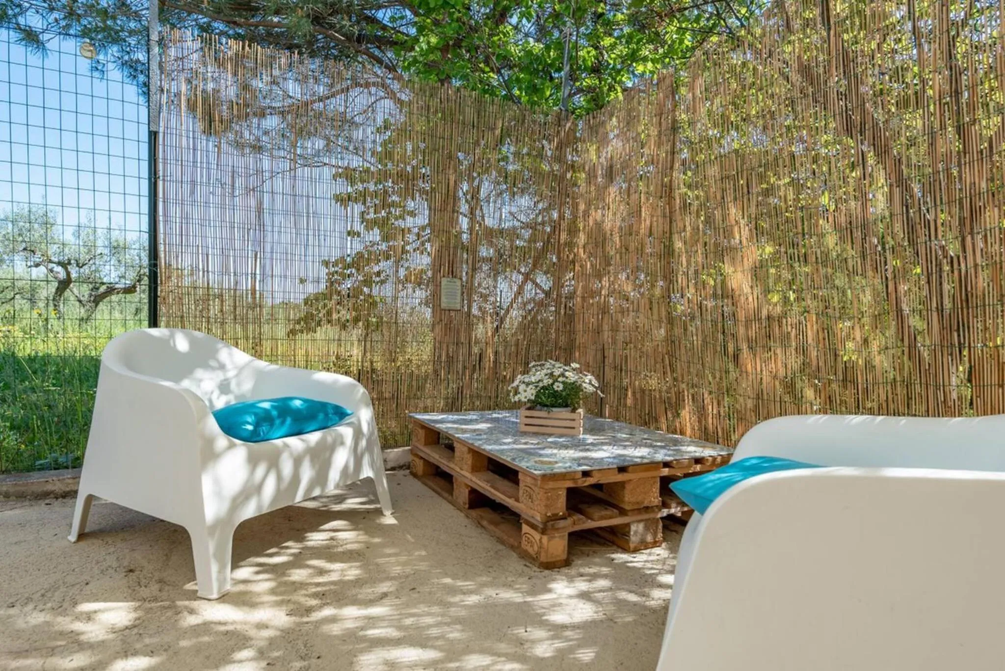 Off site in Il fico nel Pozzo - YourPlace Abruzzo